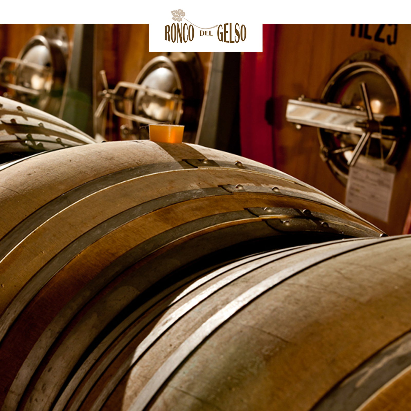 Pinot Grigio 2024 Sot Lis Rivis