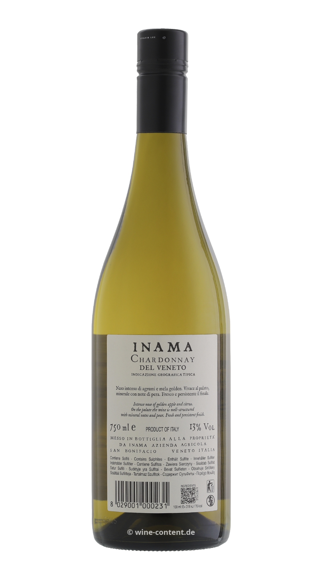 Chardonnay del Veneto 2024