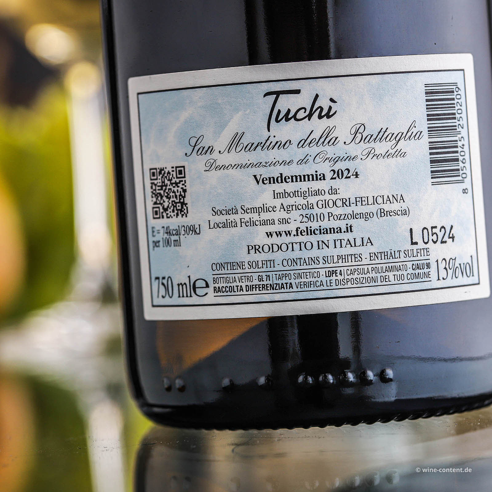 San Martino della Battaglia 2024 Torfel