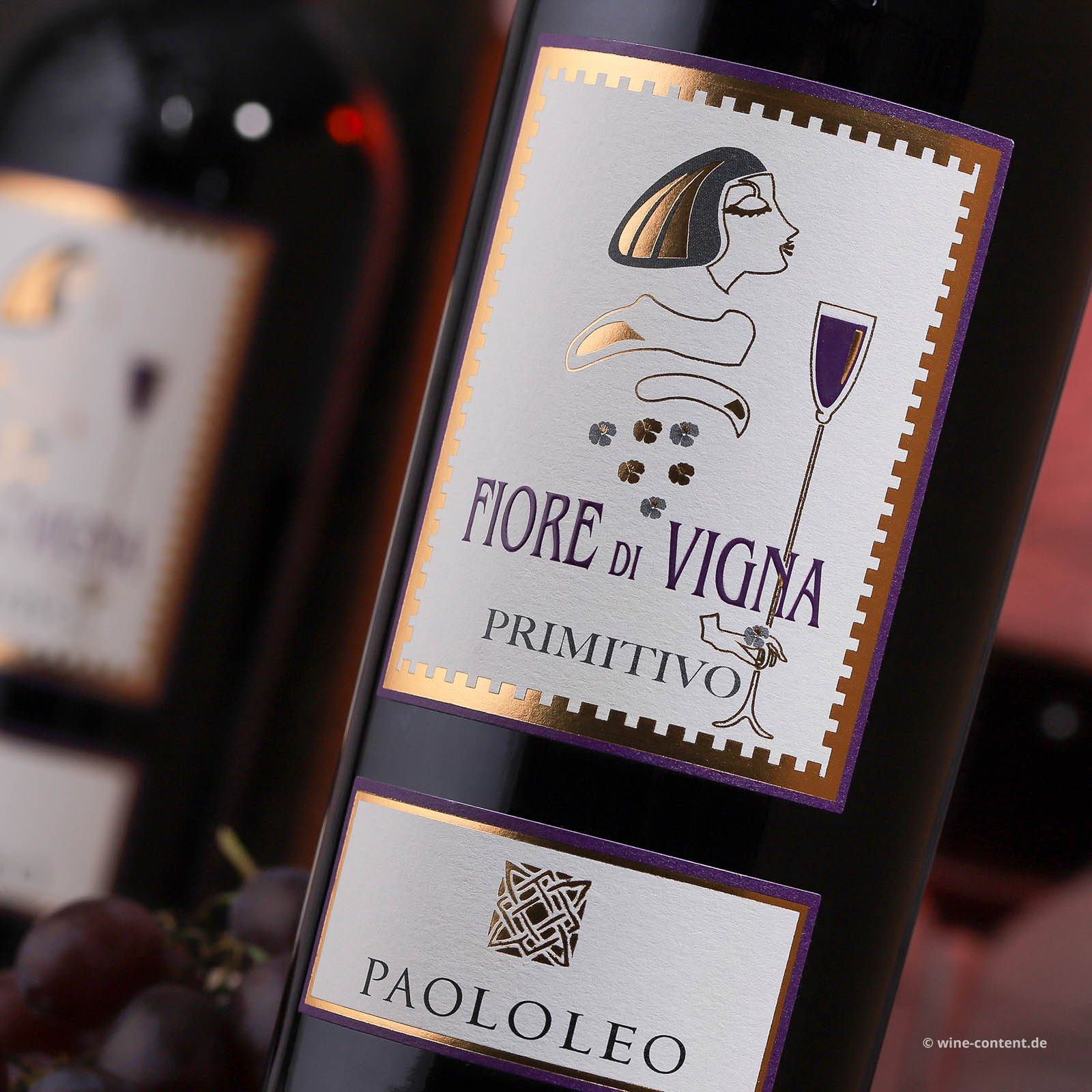 Primitivo Salento 2021 Fiore di Vigna