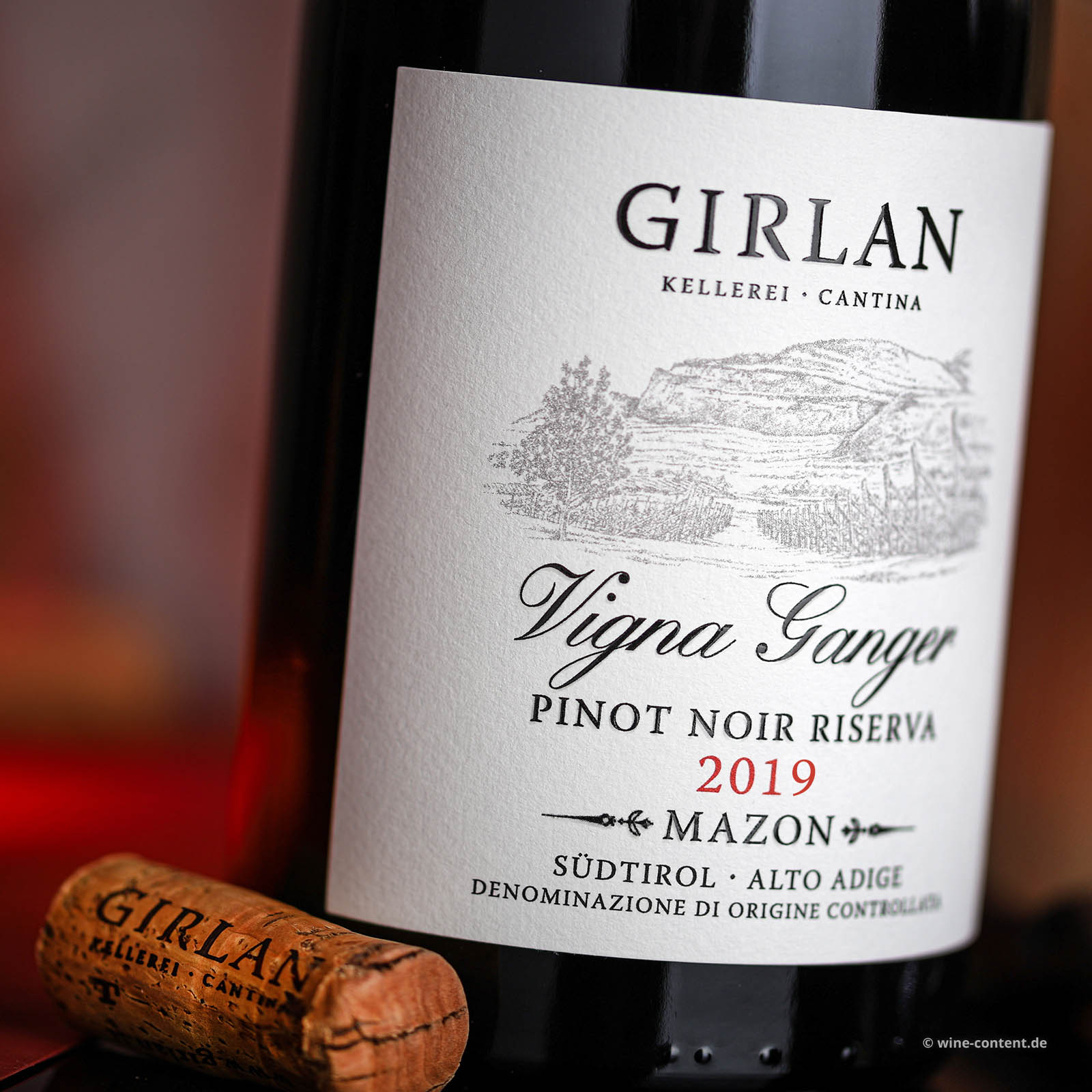 Pinot Noir Riserva 2019 Vigna Ganger