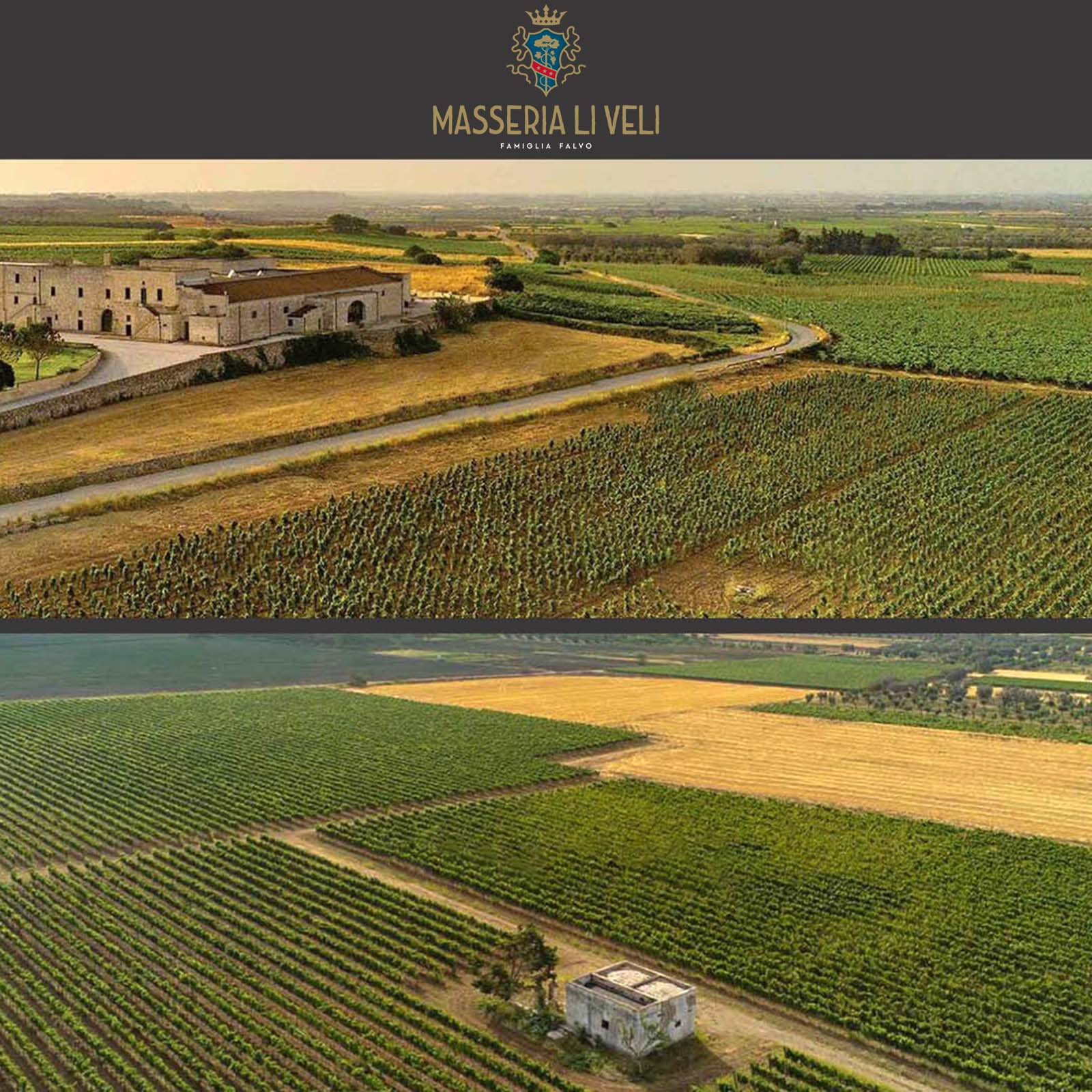 Primitivo 2023 Contrade