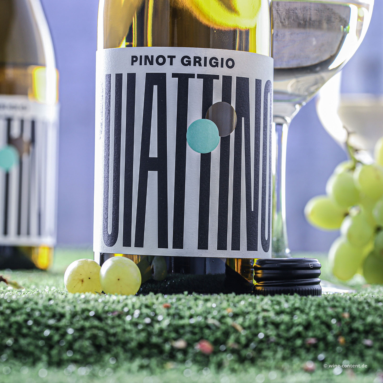 Pinot Grigio 2025 Puiattino