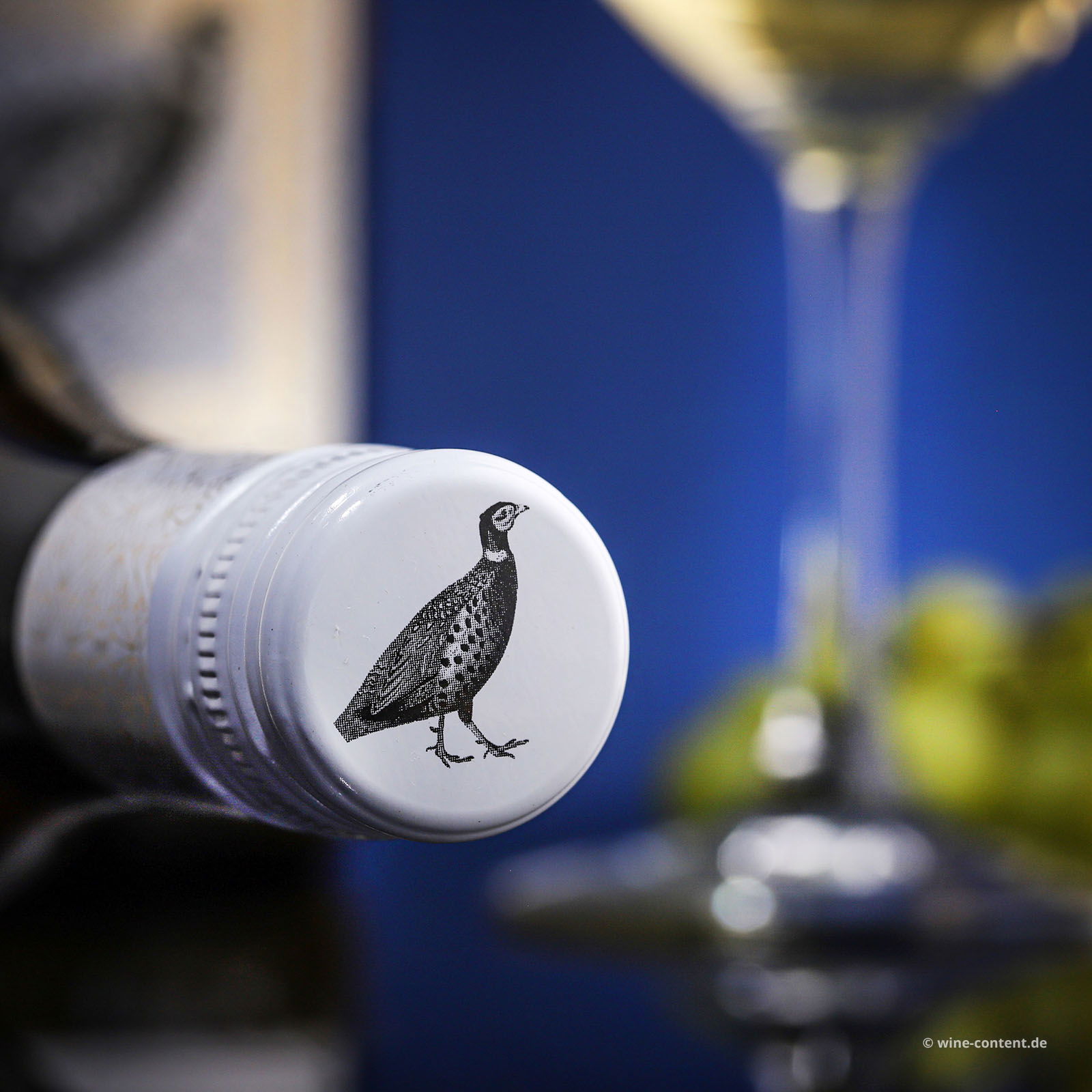 Grauburgunder 2025 Gönnheim Bio