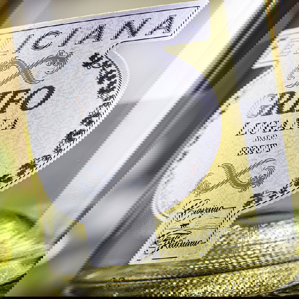 Lugana Spumante Grifo Brut