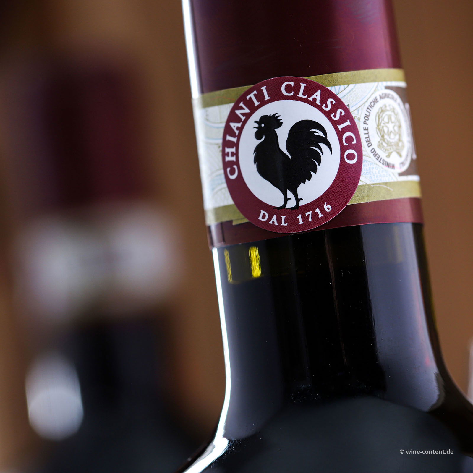 Chianti Classico 2021 Bio