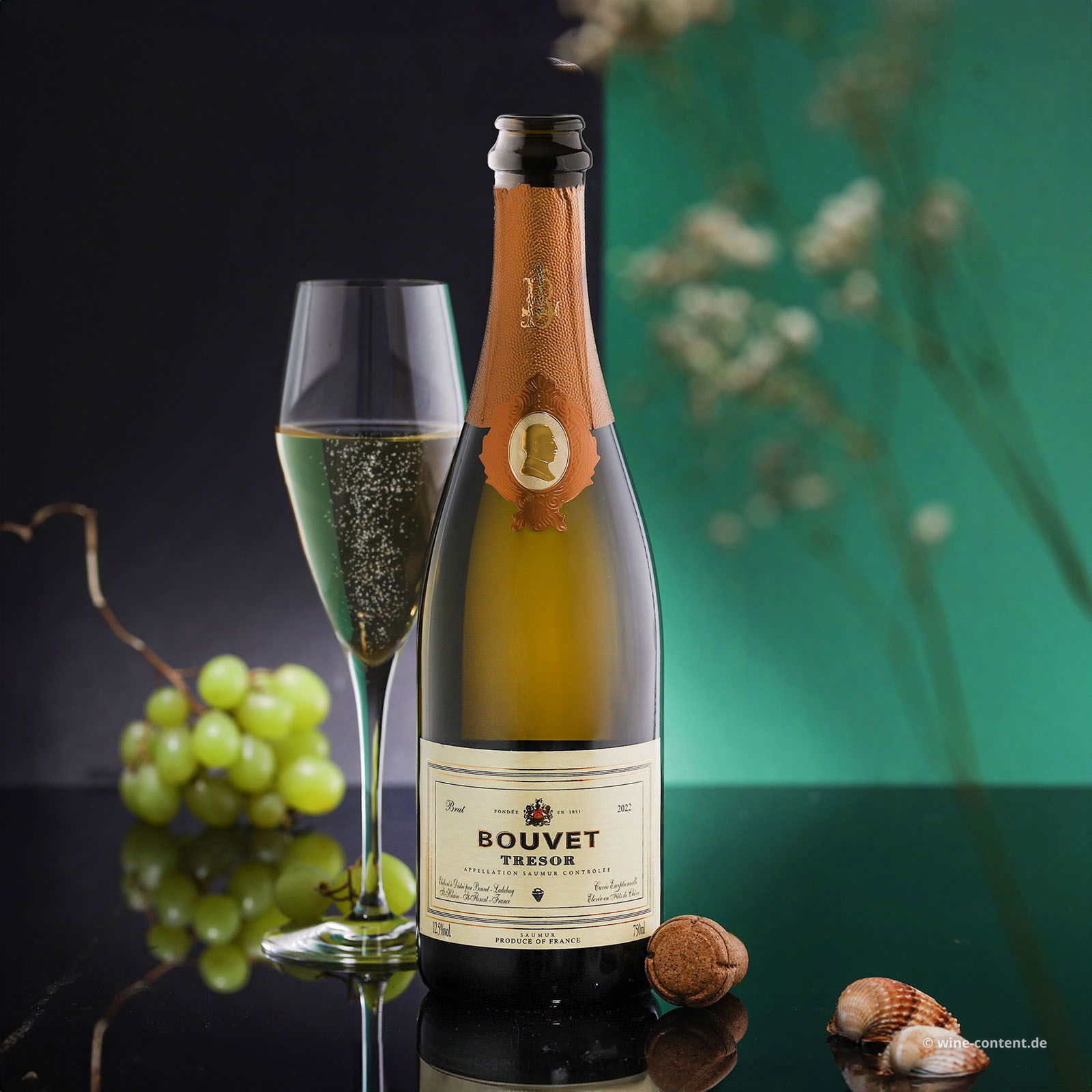 Crémant Saumur Blanc 2022 Trésor Brut