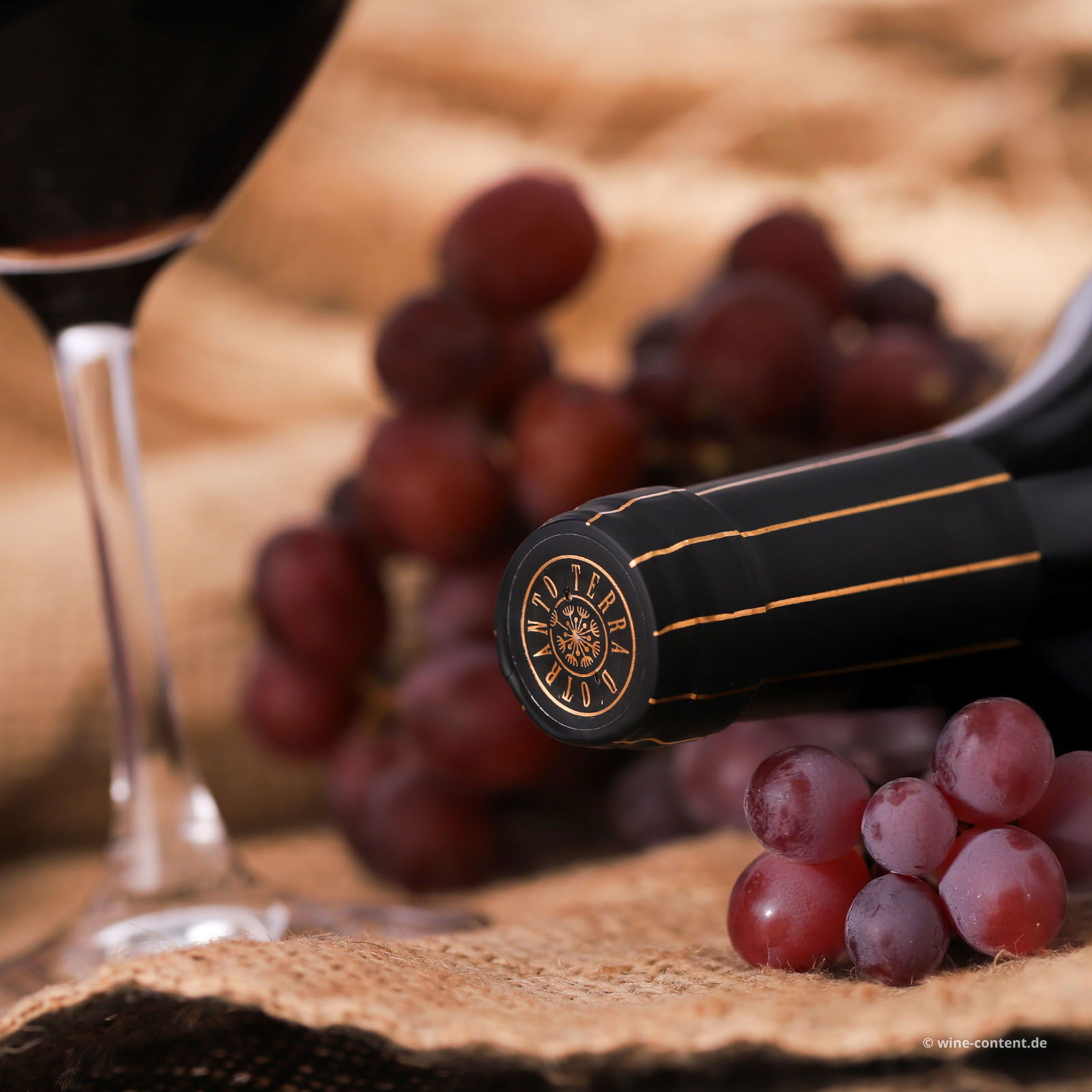 Negroamaro Terra d'Otranto Riserva 2022 Filo