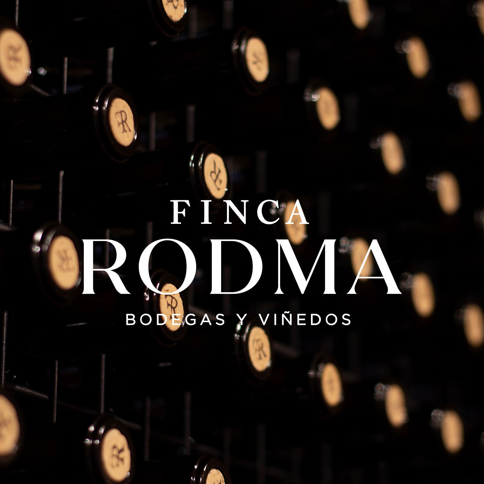 Tempranillo 2021 Avizor