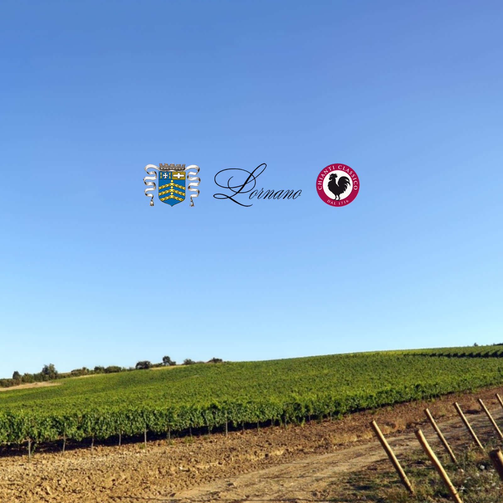 Toscana Rosato 2025 etél