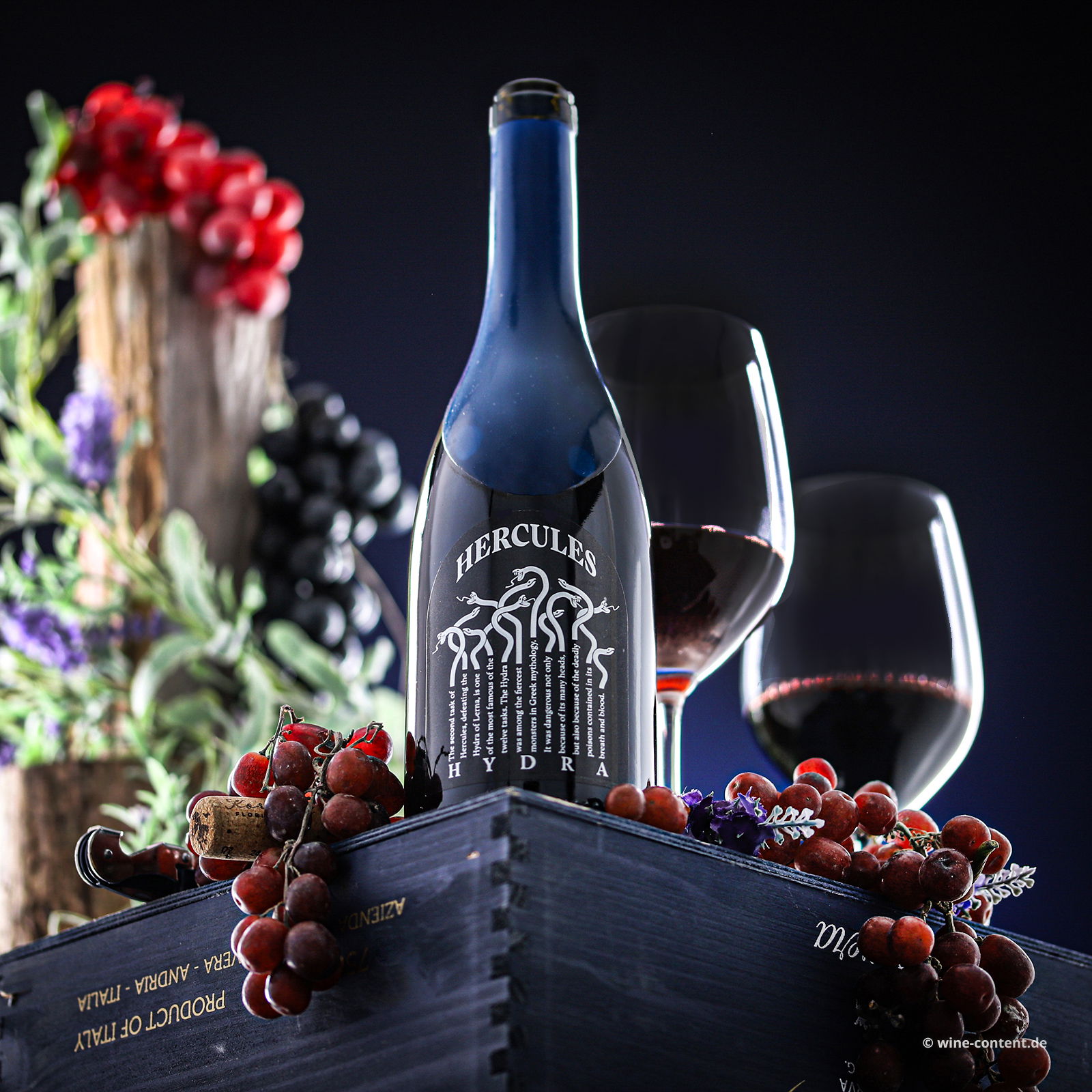 Vernatsch 2021 Hercules Hydra