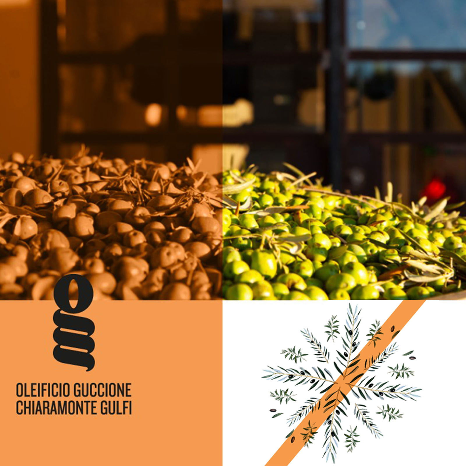 0,5 L Olivenöl Extra Vergine 2025 Zahara