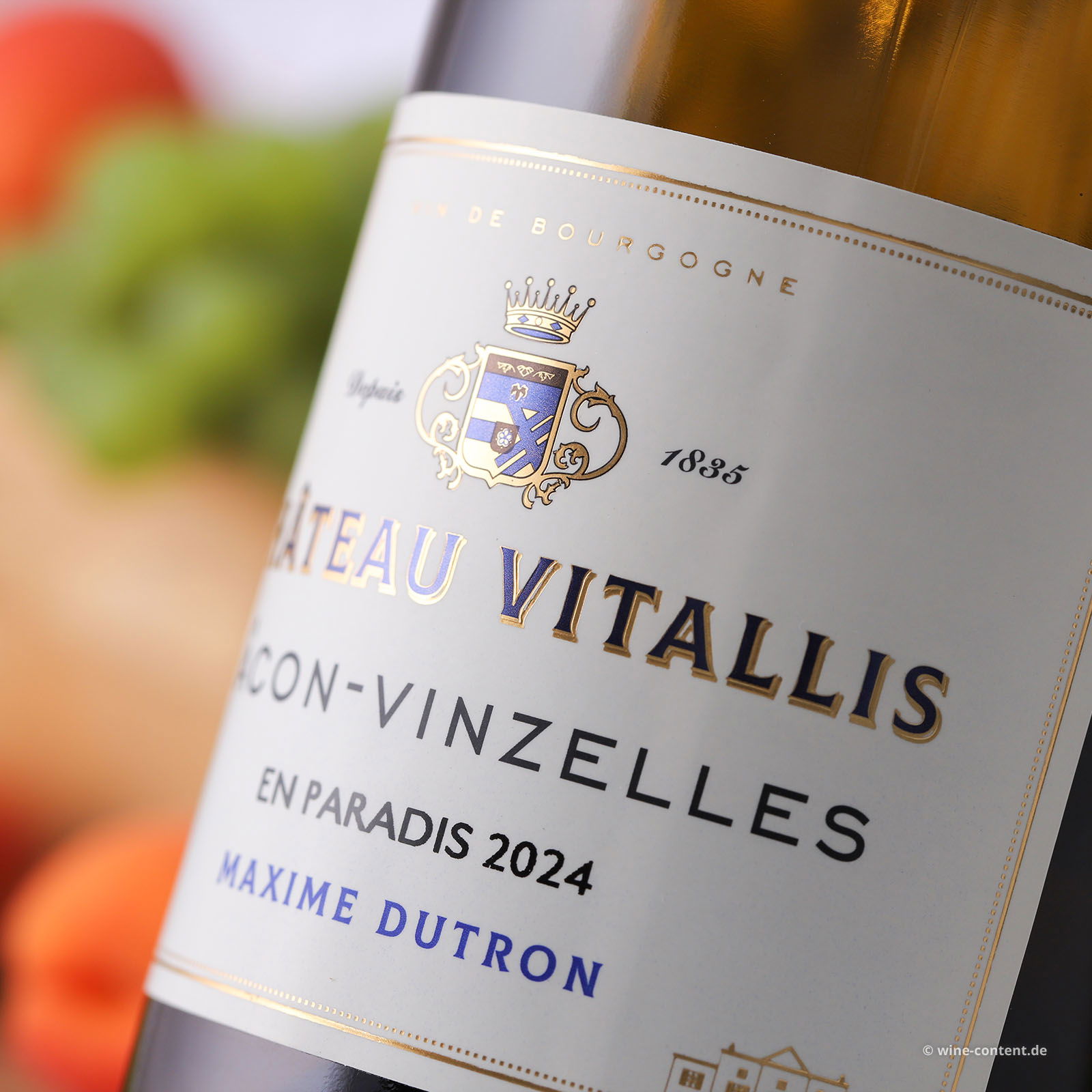 Mâcon-Vinzelles 2024 En Paradis