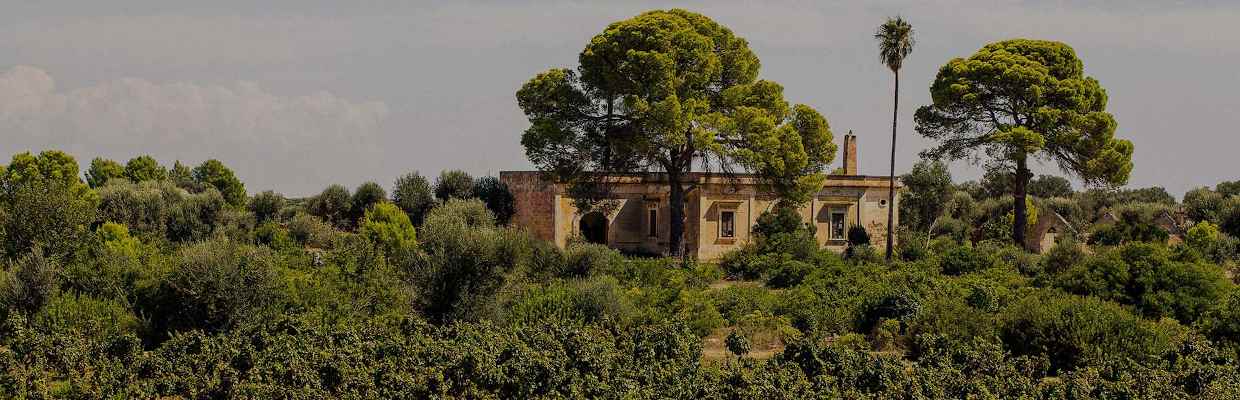 Masca del Tacco