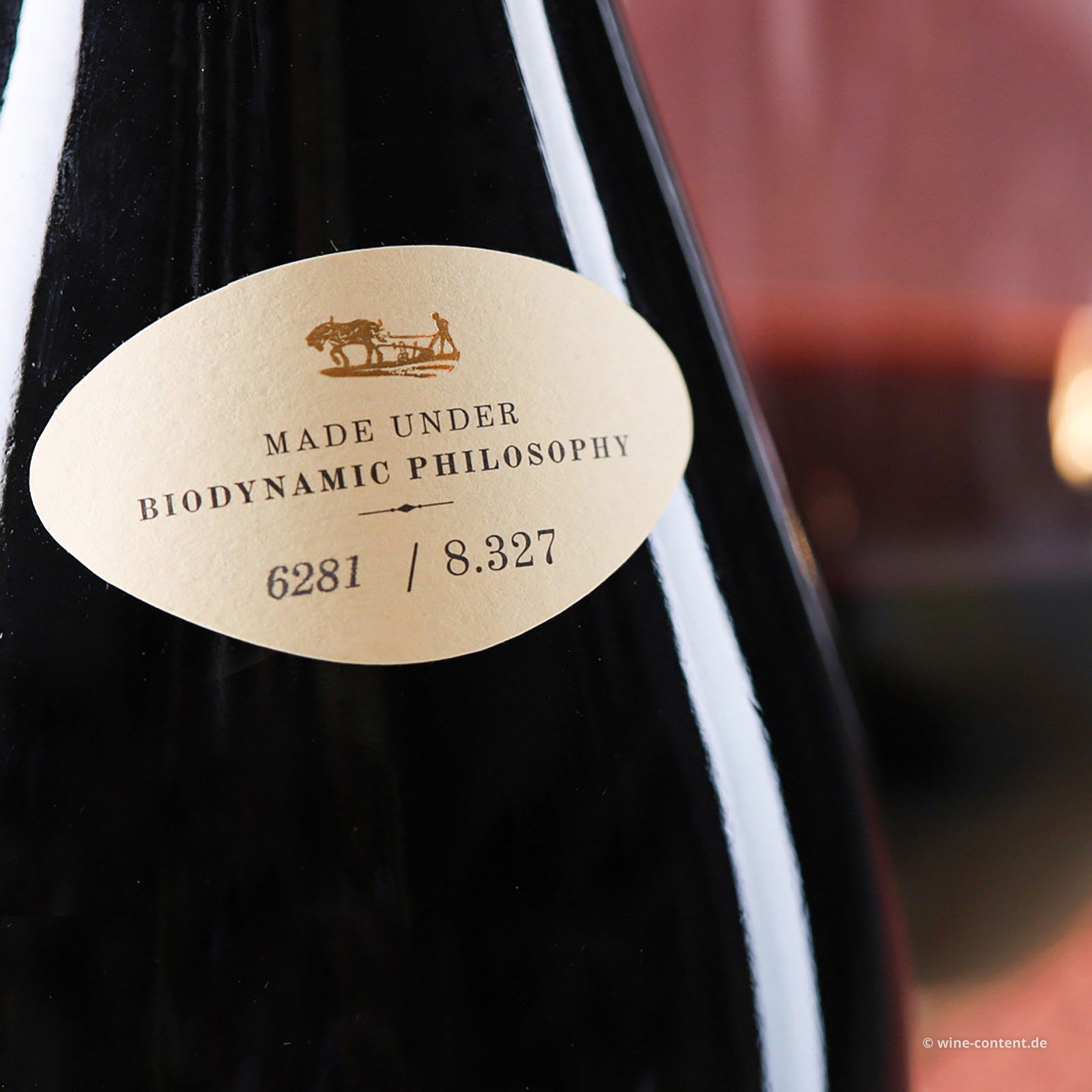 Rioja 2019 Phincas Bio