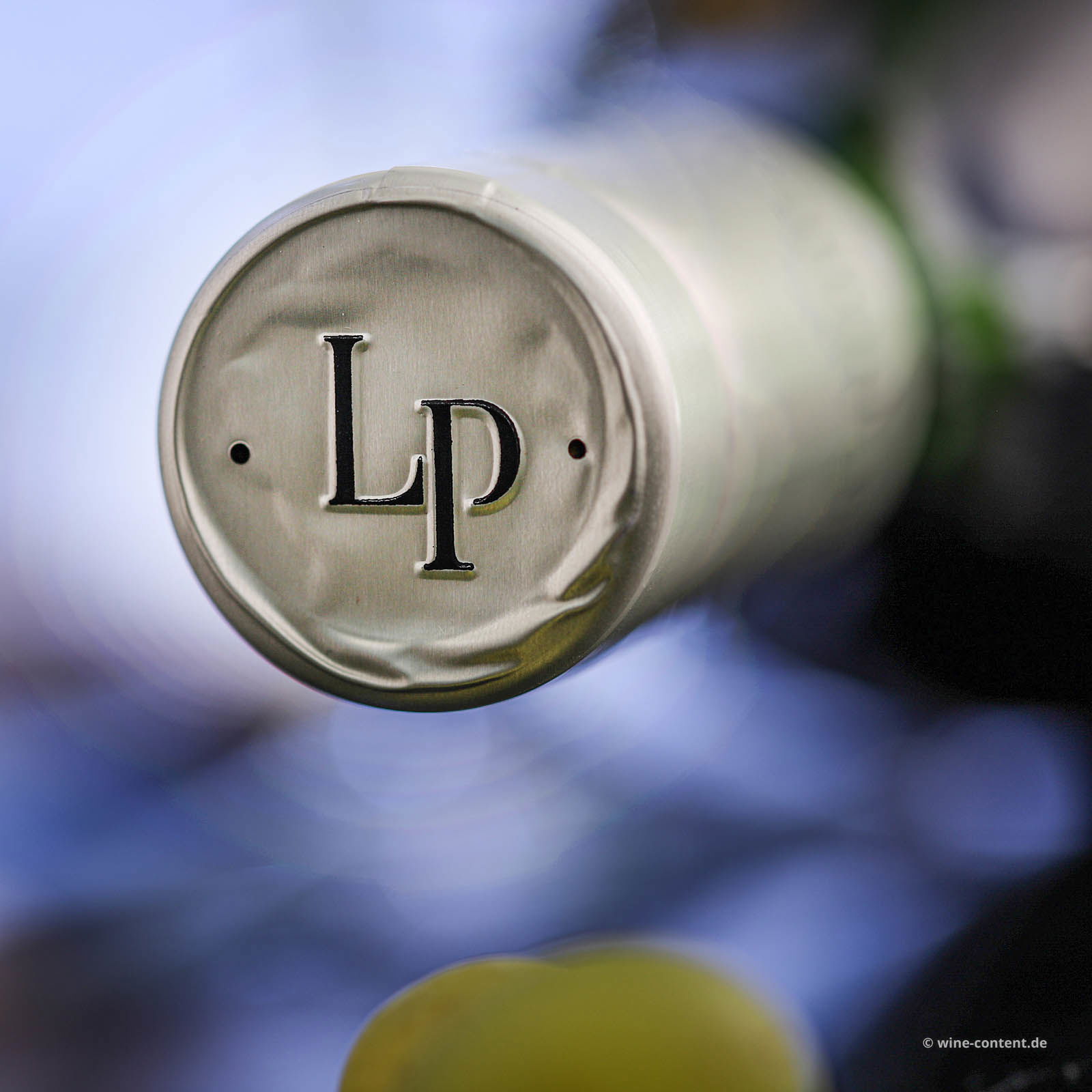 Sauvignon Collio 2022 Bio