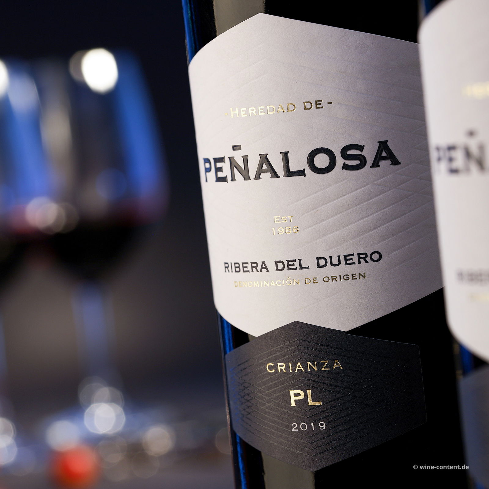 Tempranillo Crianza 2019 Peñalosa