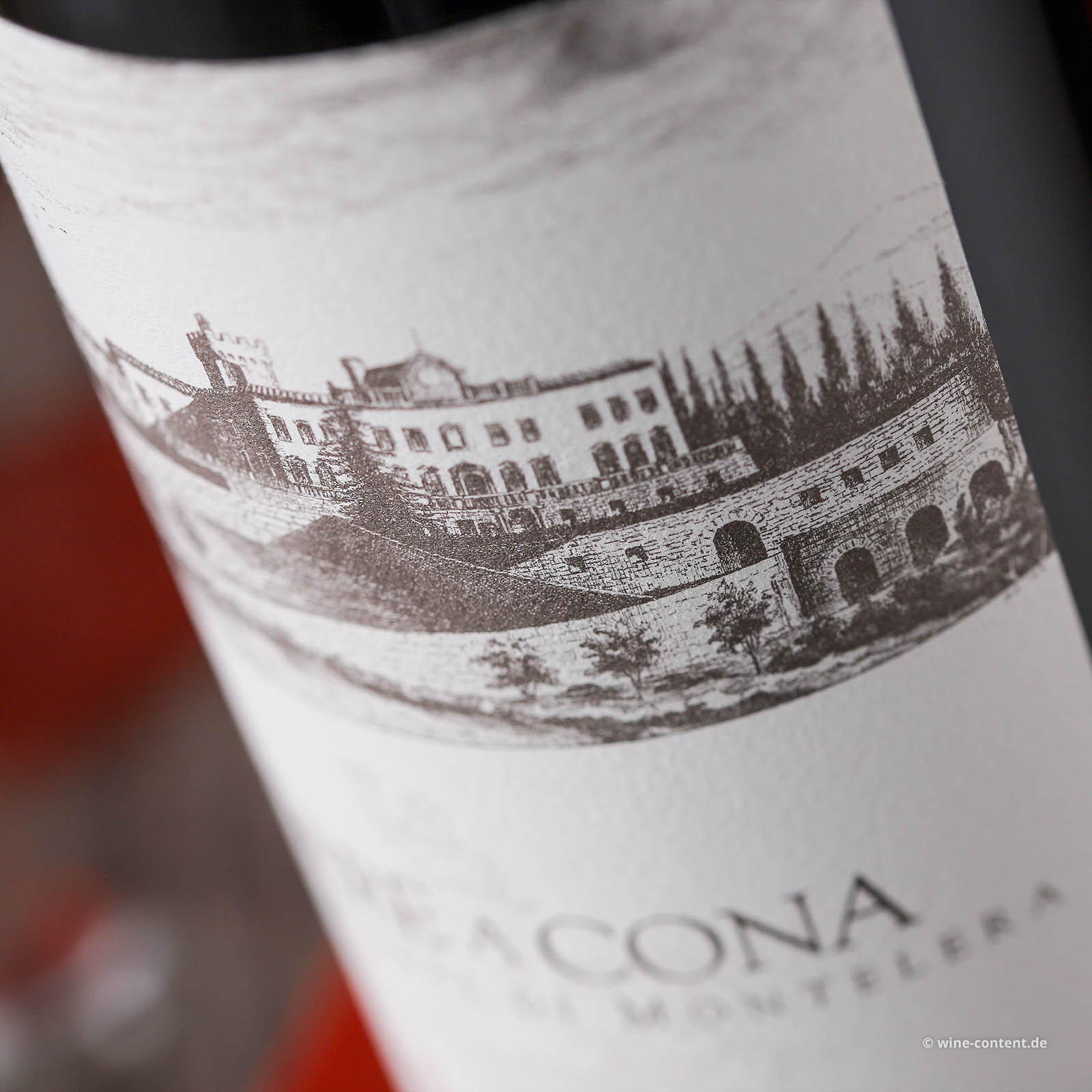 Chianti Colli Fiorentini Riserva 2019 Terre di Cino