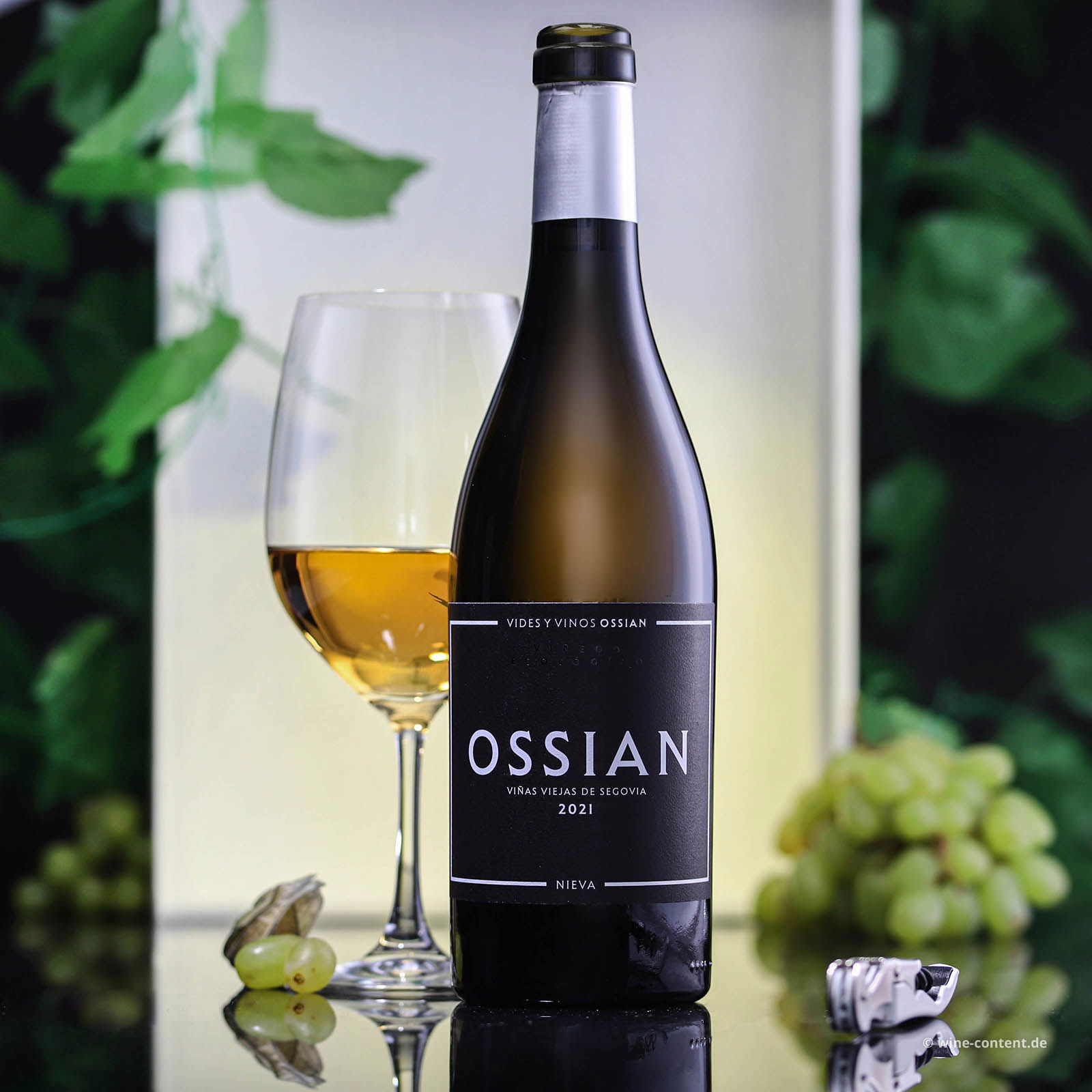Verdejo 2021 Ossian Bio