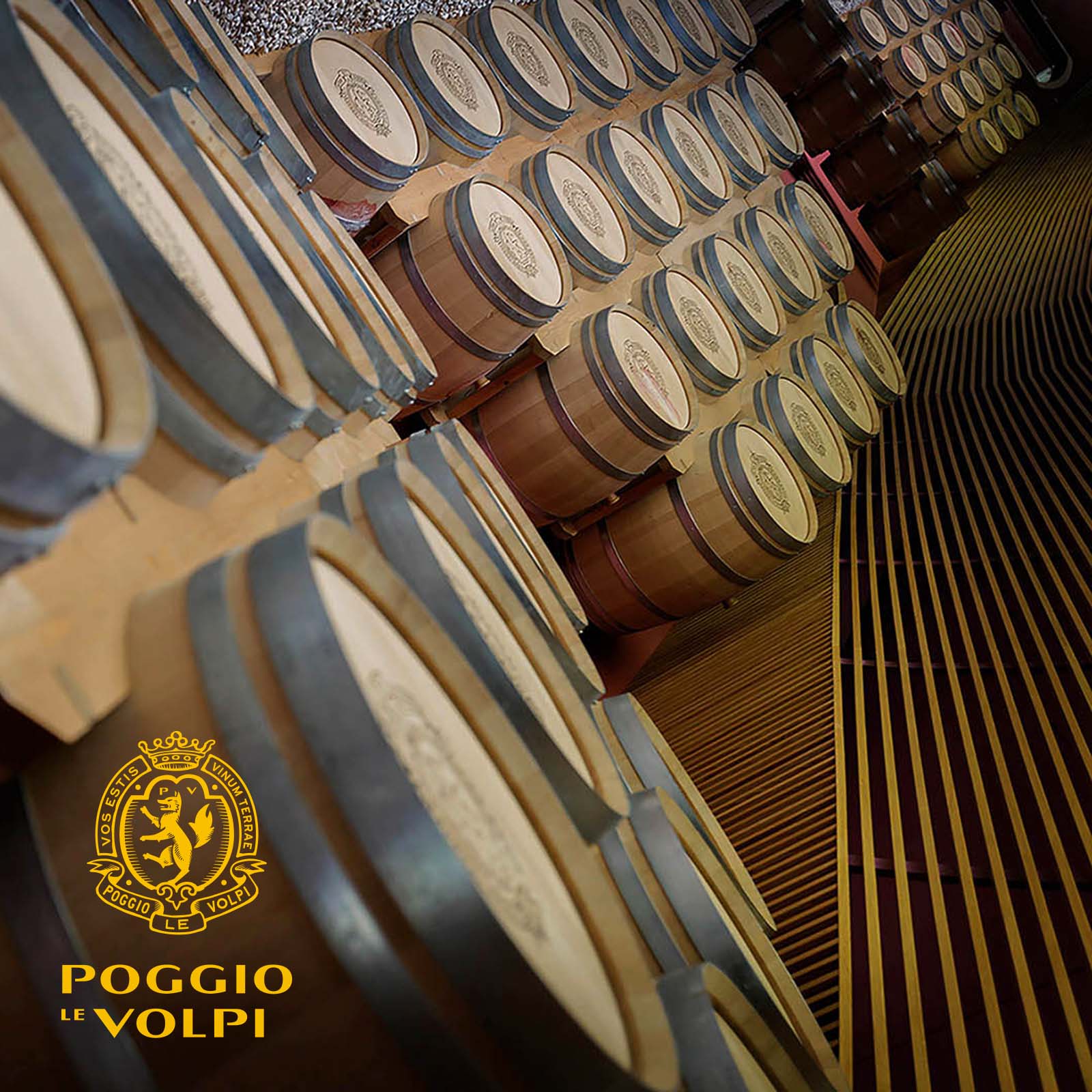 Barcaccia Bianco 2022