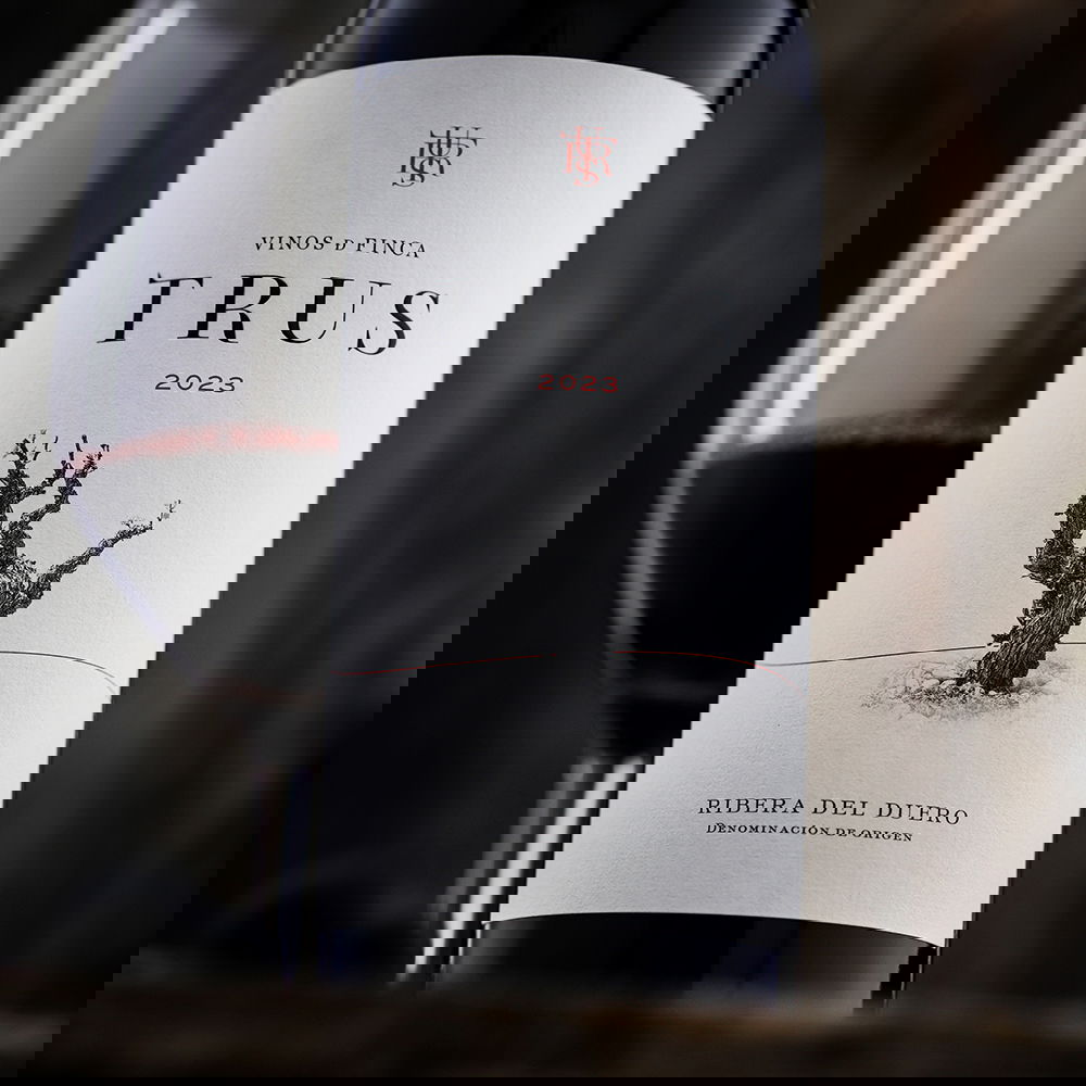 Tempranillo 2023 Roble