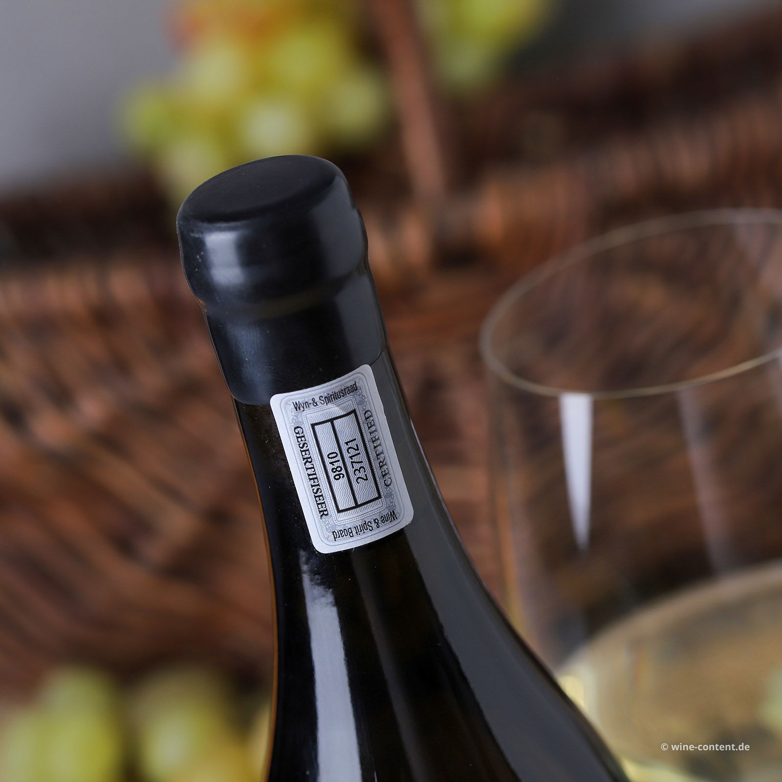 Cape White 2022 Herbarium