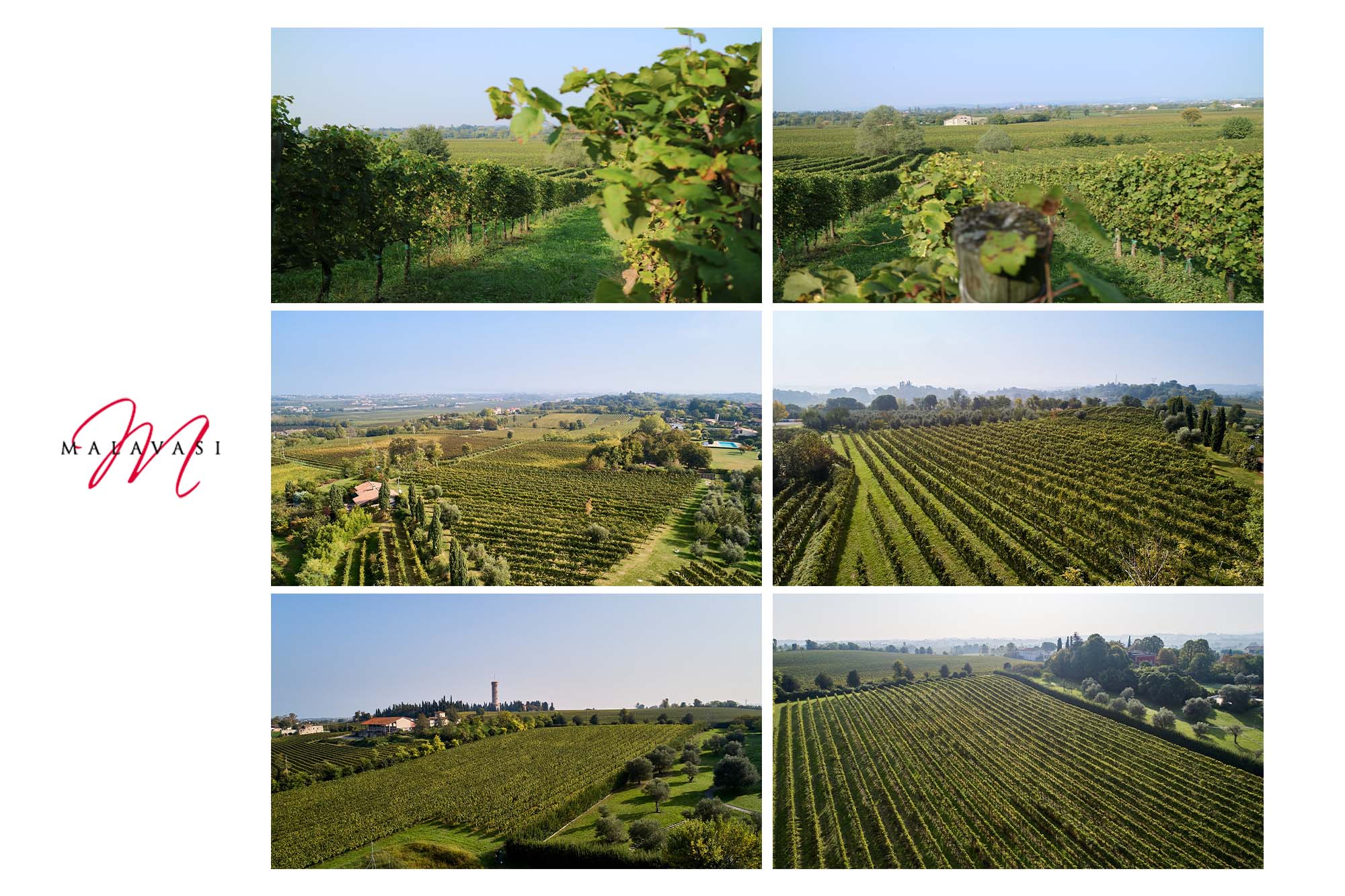 Lugana 2024 San Giacomo