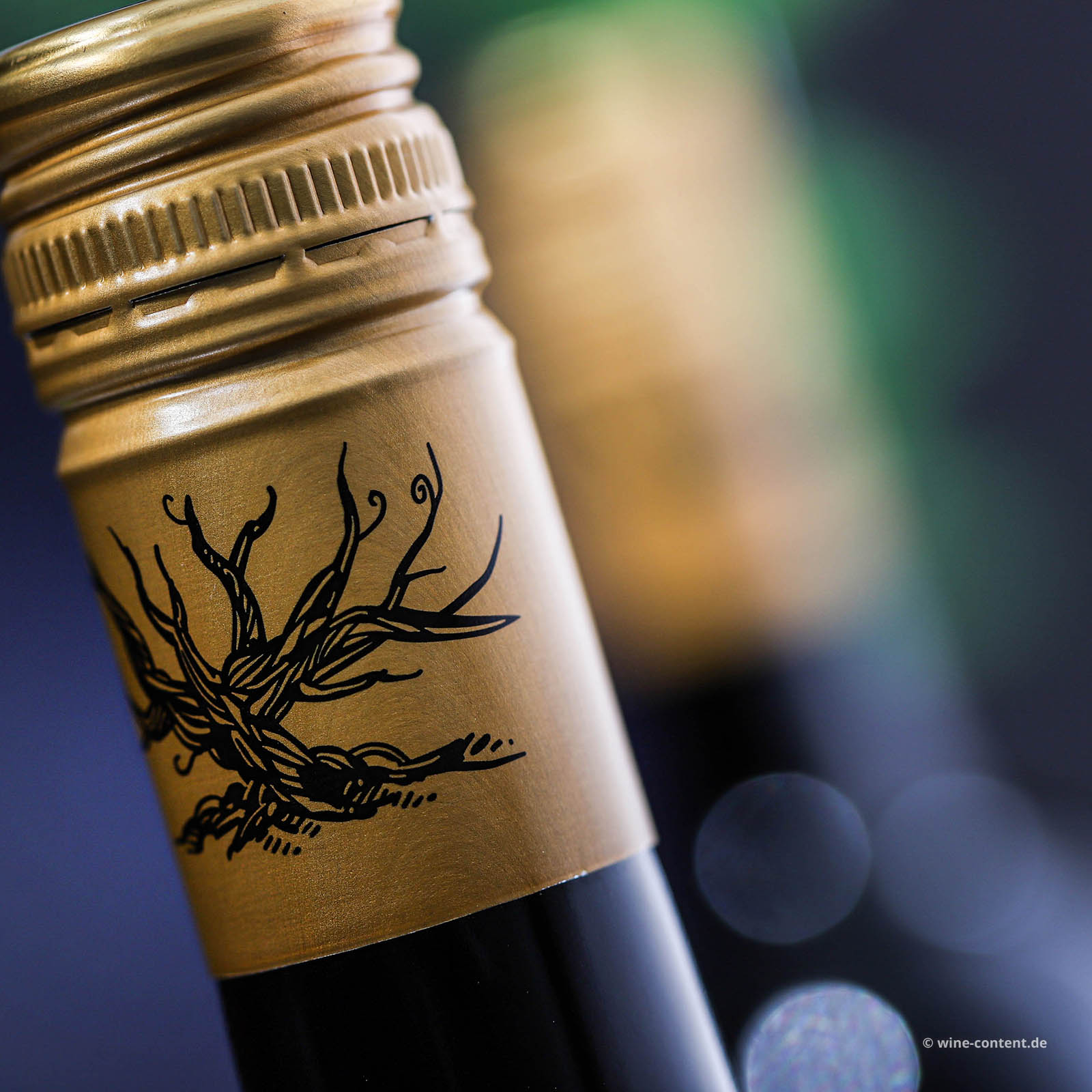 Zinfandel 2025 Wanted