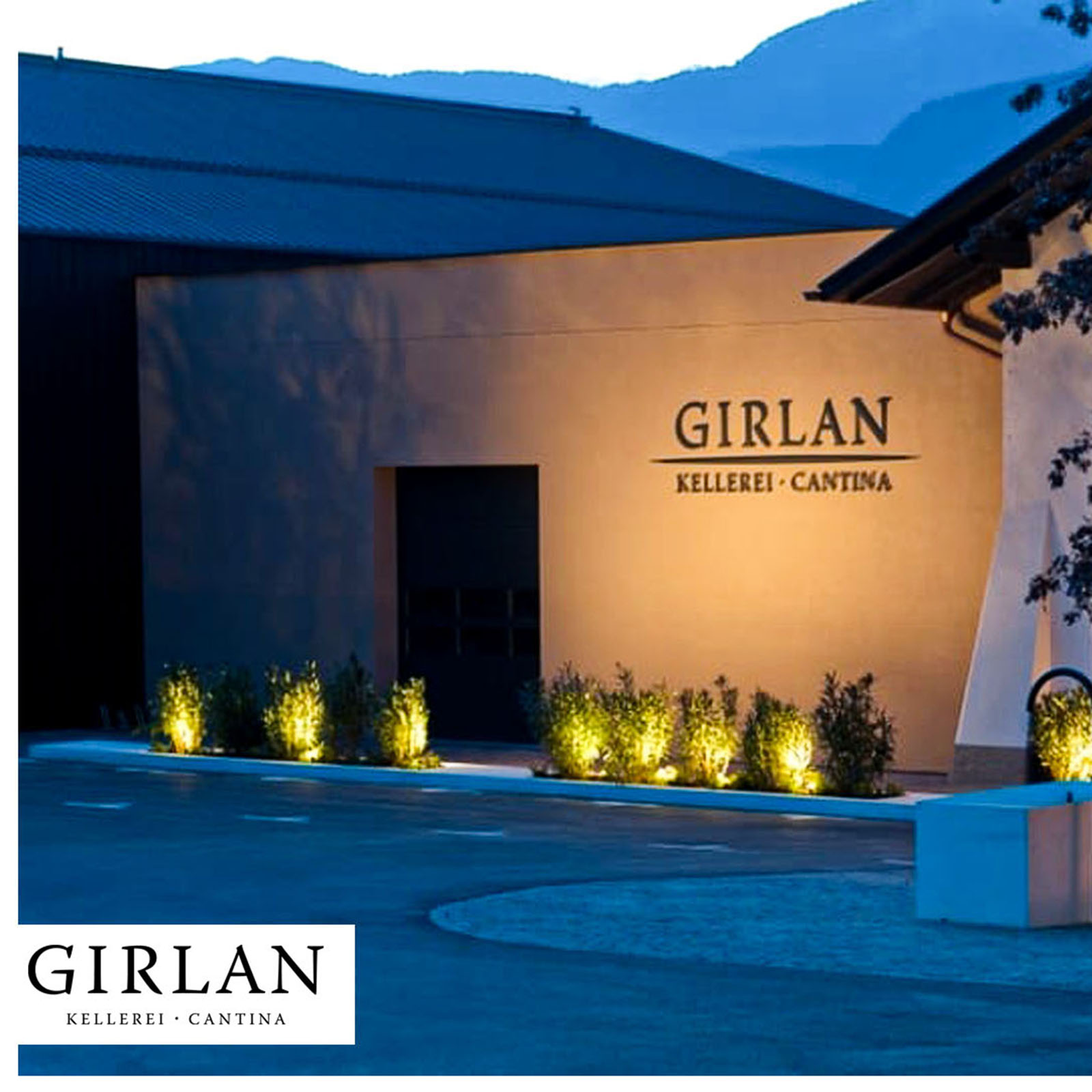 Vernatsch 2025 448 s.l.m.