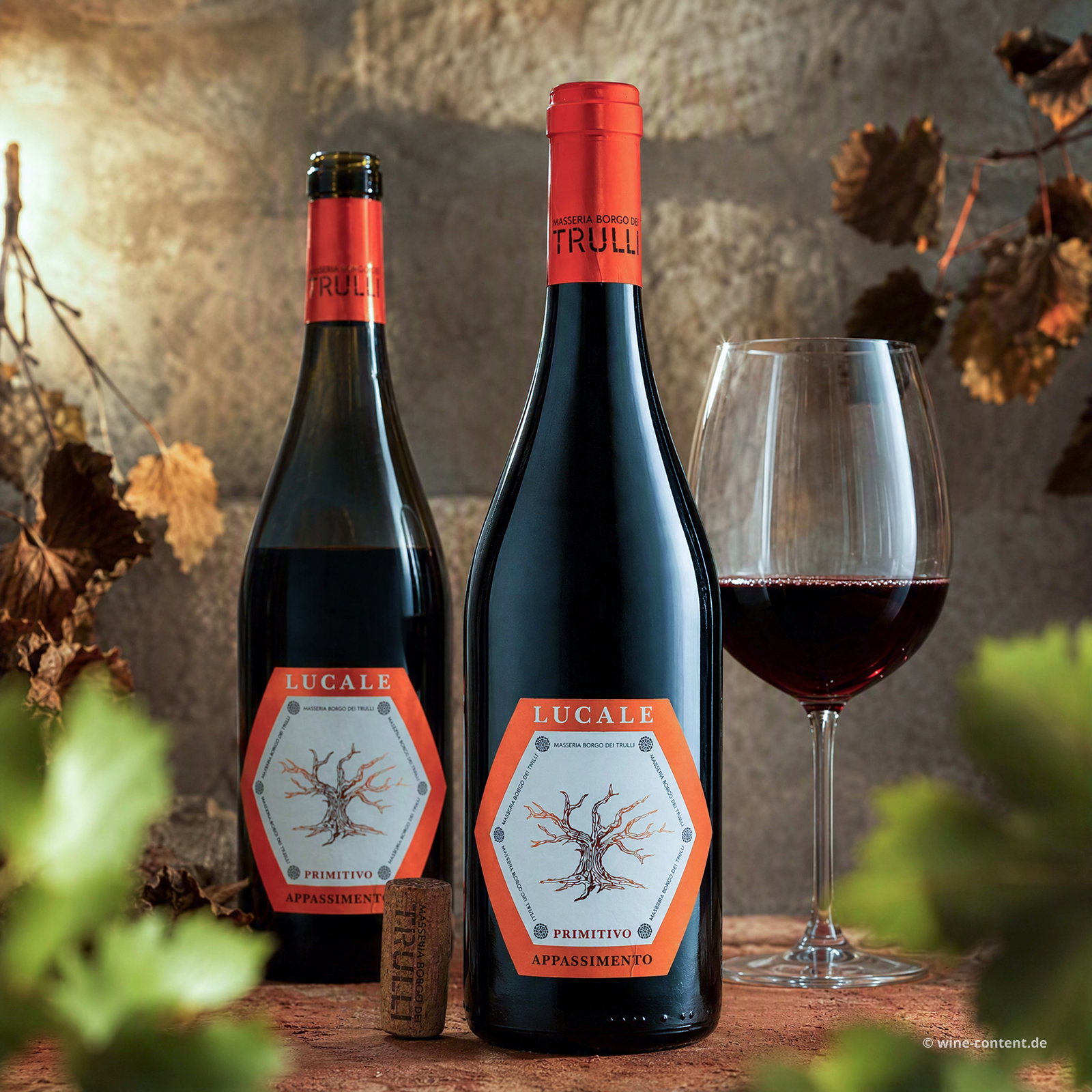Primitivo Appassimento 2025 Lucale