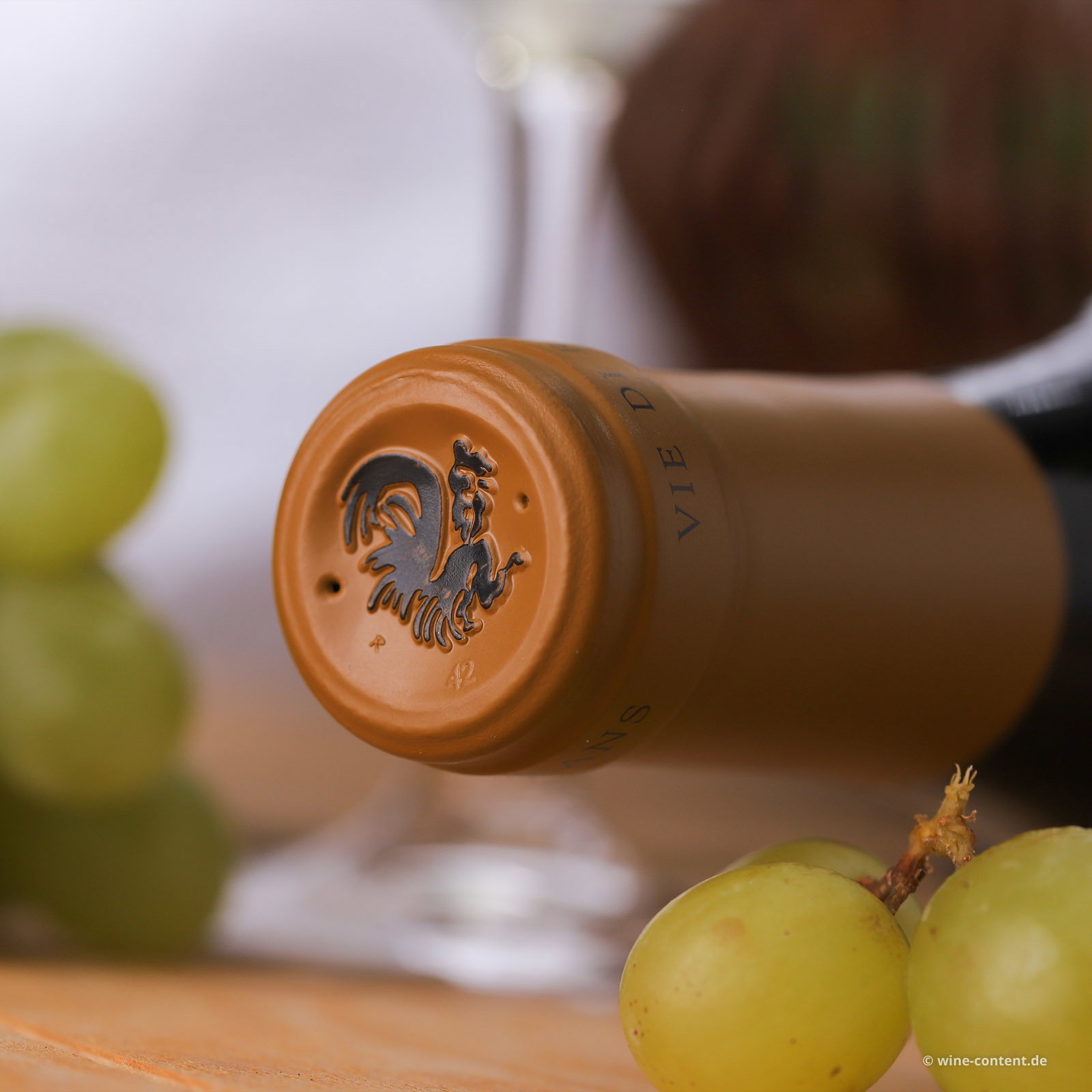 Chardonnay 2024 Ciampagnis