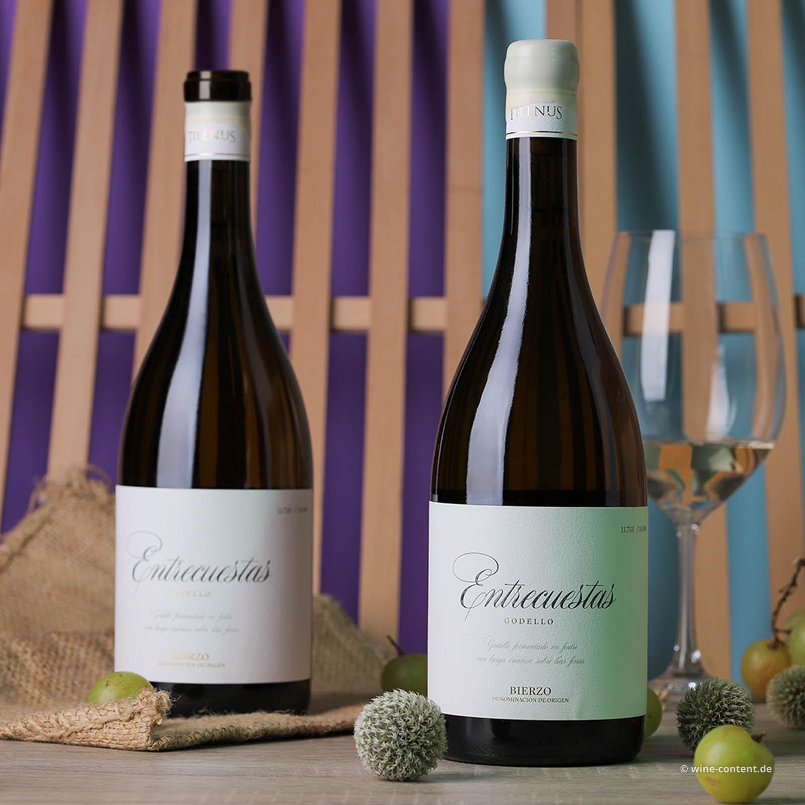 Godello 2021 Tilenus Entrecuestas