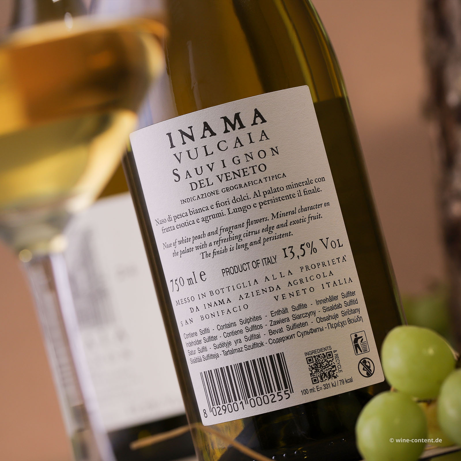 Sauvignon del Veneto 2025 Vulcaia