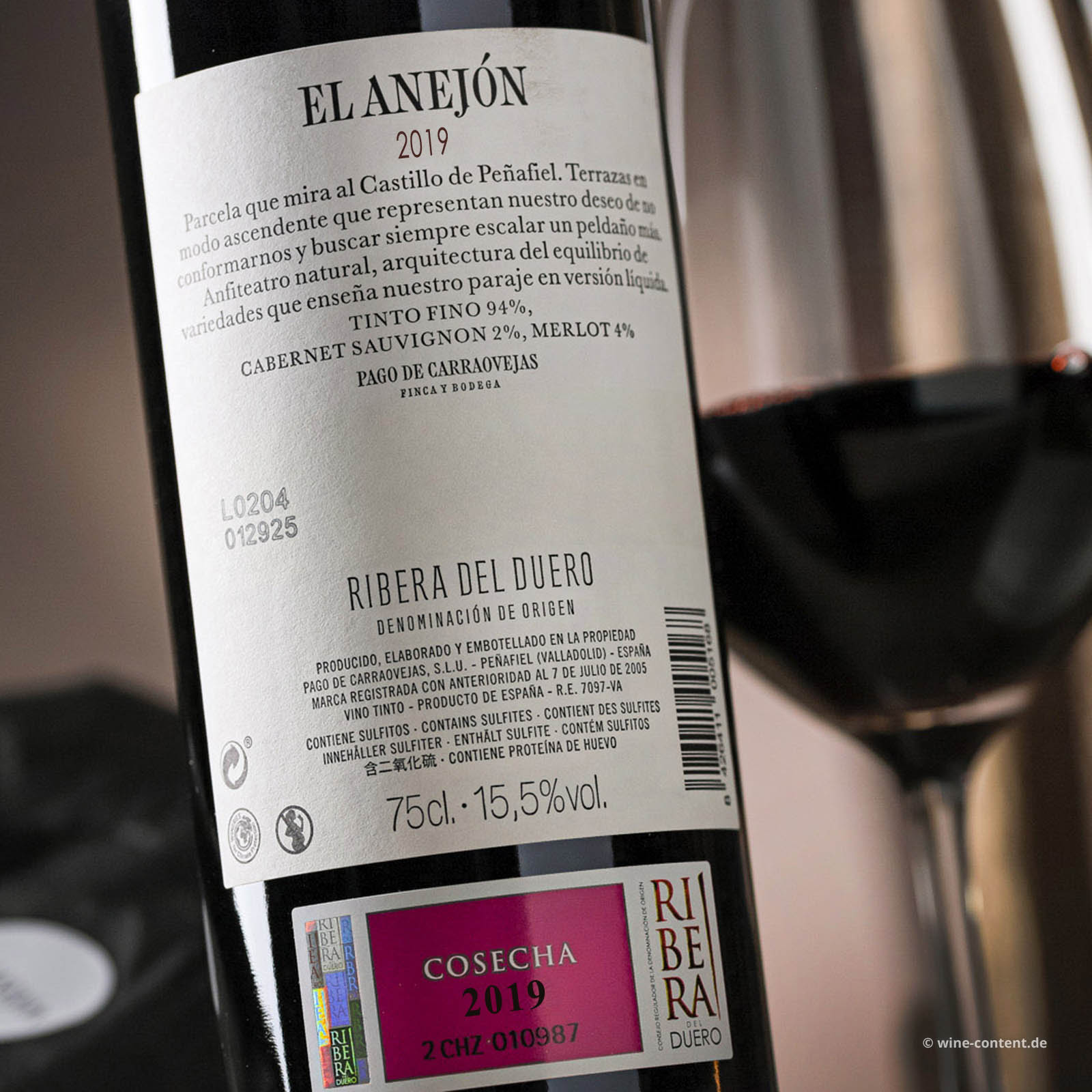 El Anejón 2019
