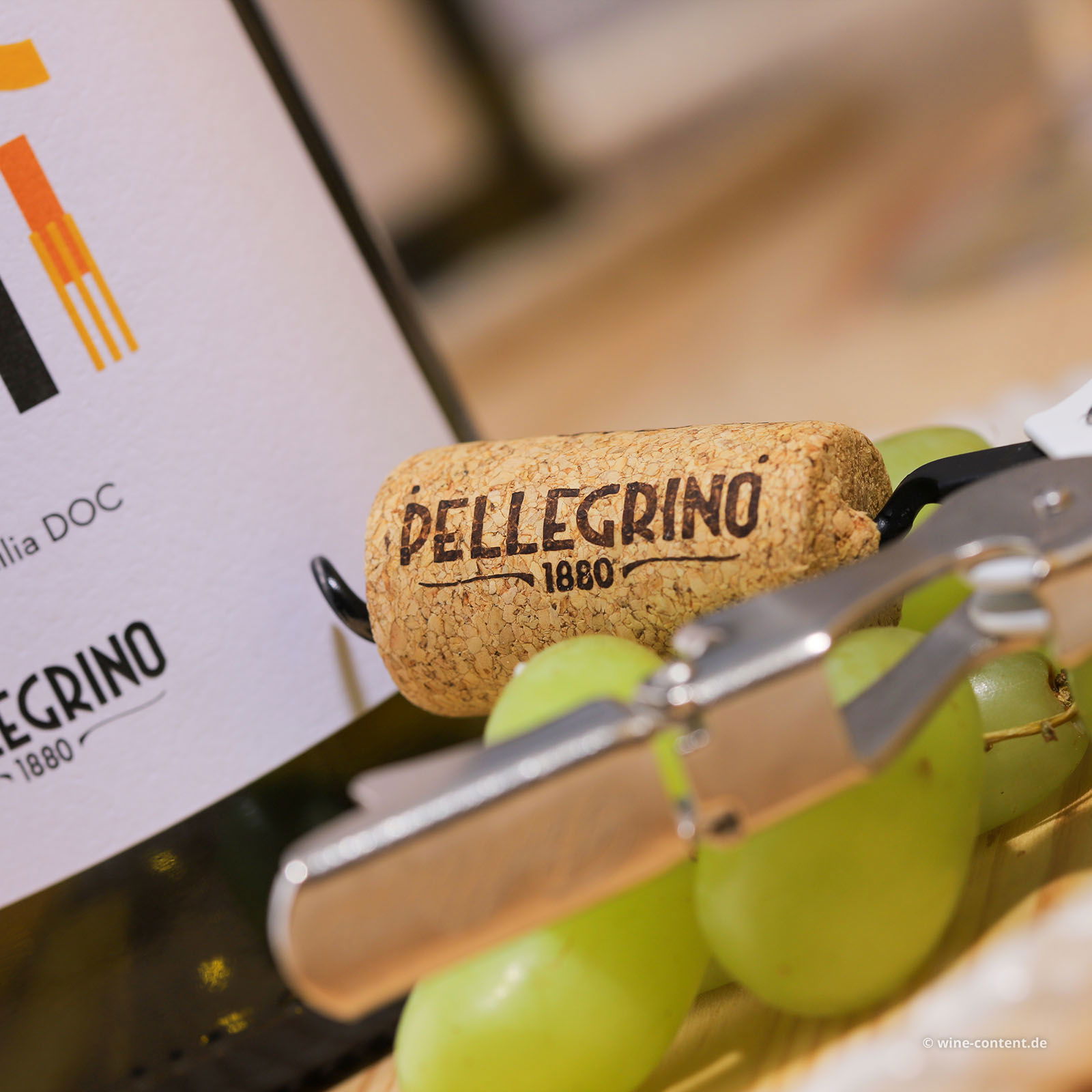 Grillo Sicilia 2025 Tareni