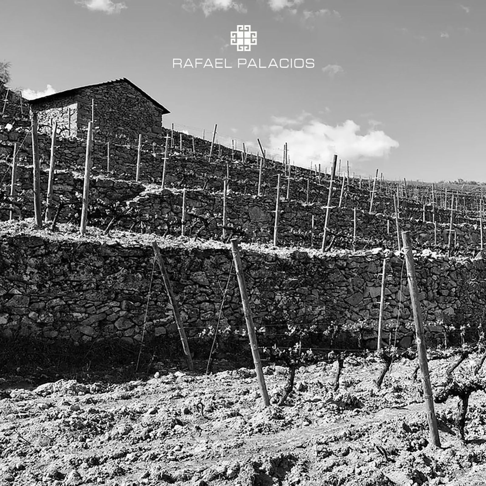 Godello 2022 Sorte O Soro
