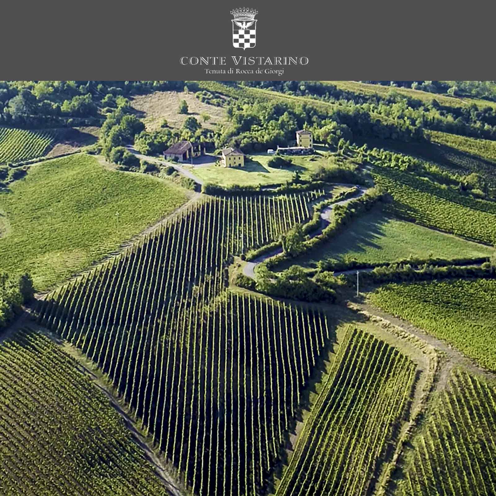 Spumante Rosé Pinot Nero Brut