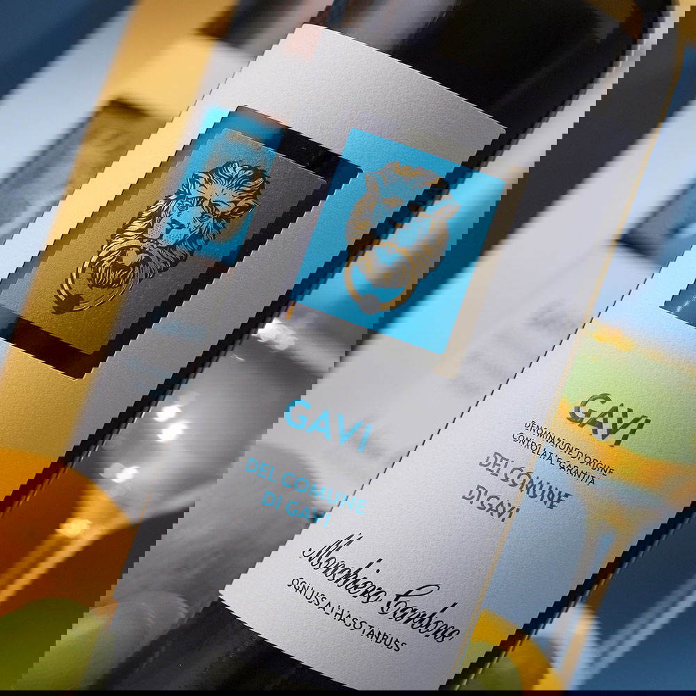 Gavi di Gavi 2024