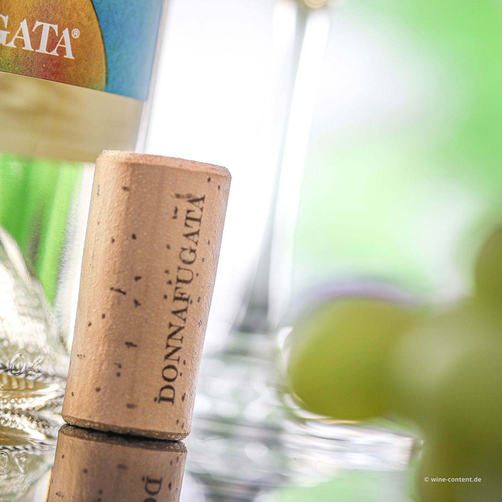 Sicilia Bianco 2025 Damarino