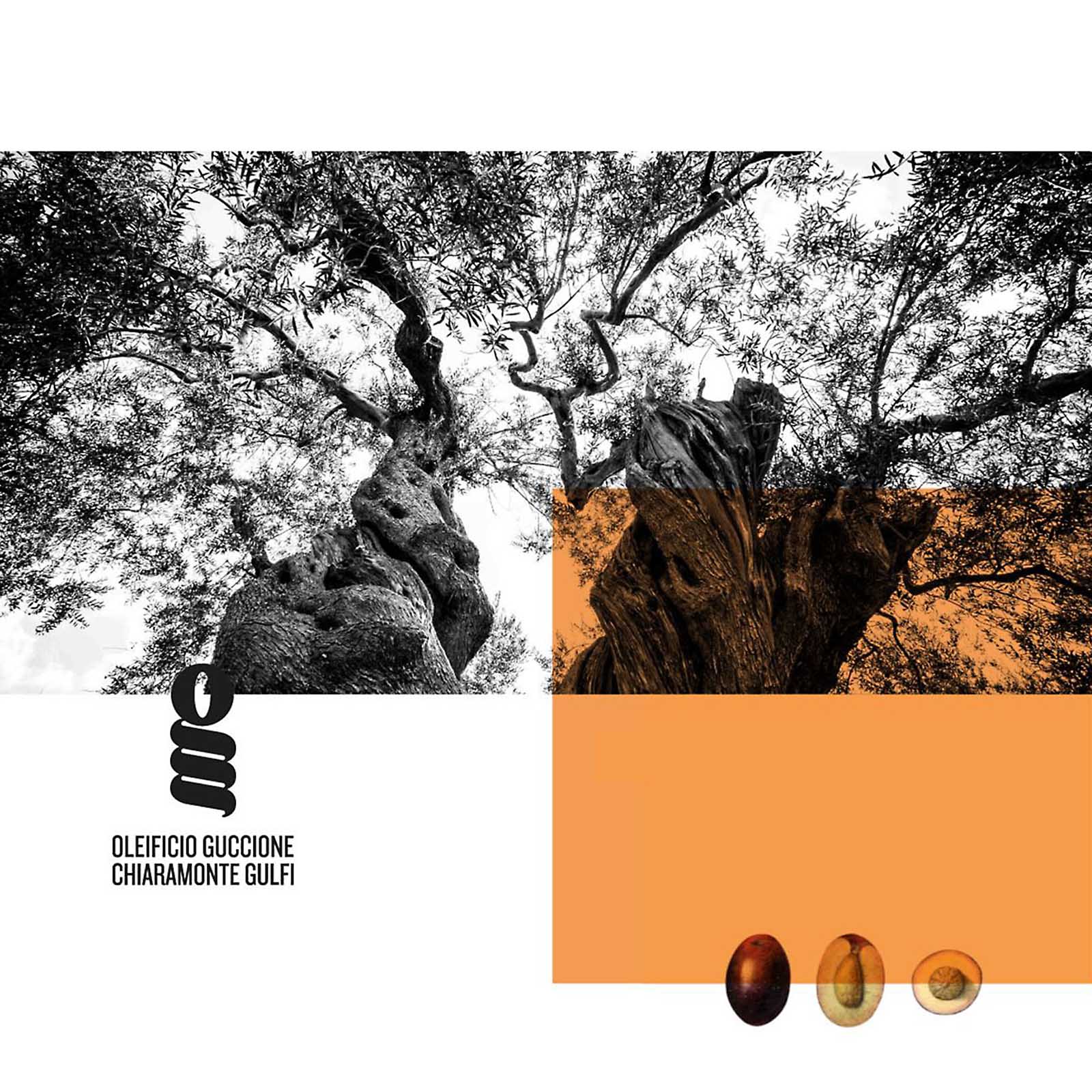 0,5 L Olivenöl Extra Vergine 2025 Fruttato Intenso