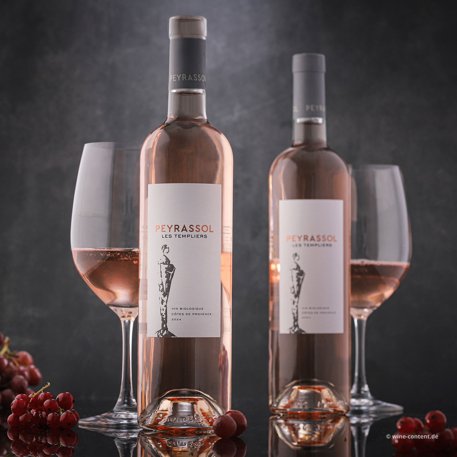 Côtes de Provence Rosé 2024 Les Templiers Bio