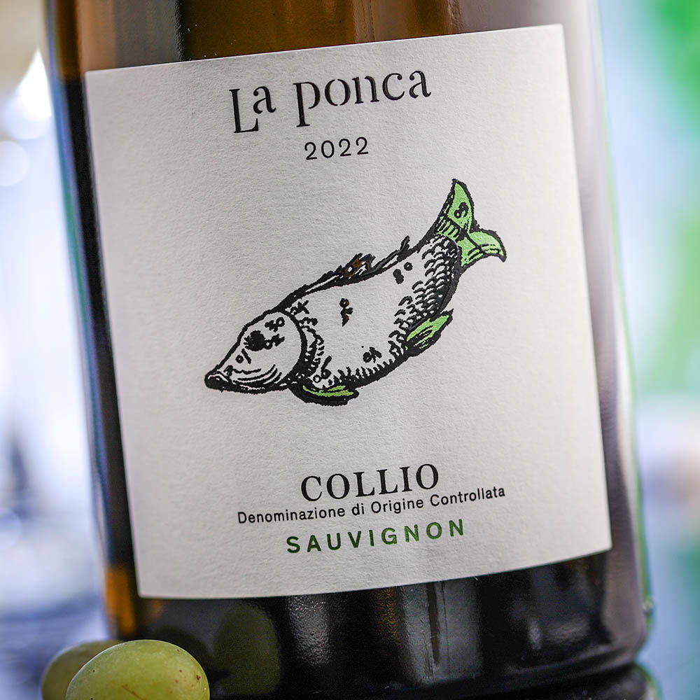 Sauvignon Collio 2022 Bio