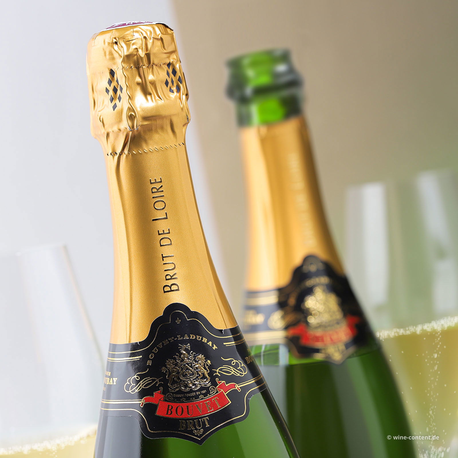 Crémant de Loire Excellence Brut