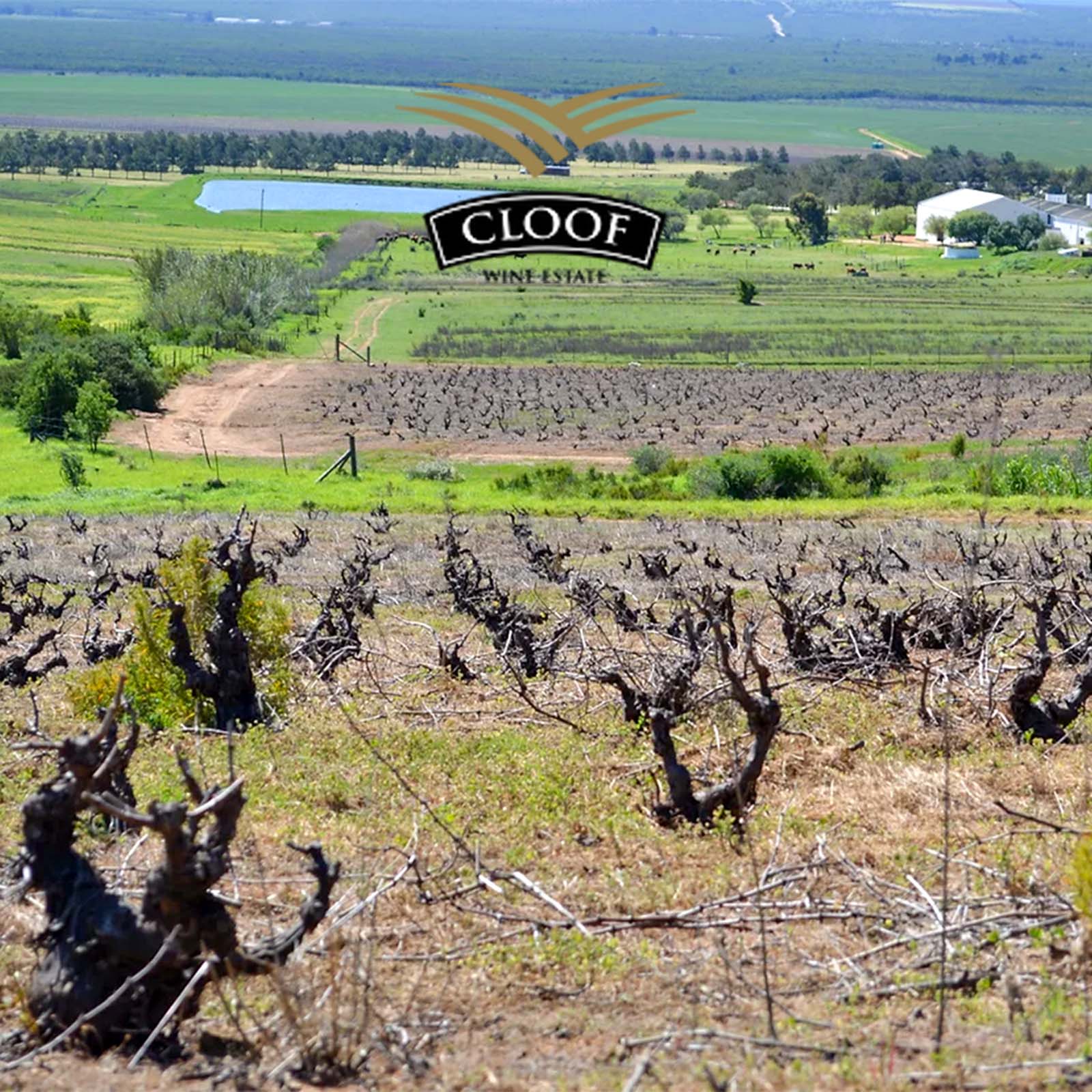 Shiraz Reserve 2022 Duckitt