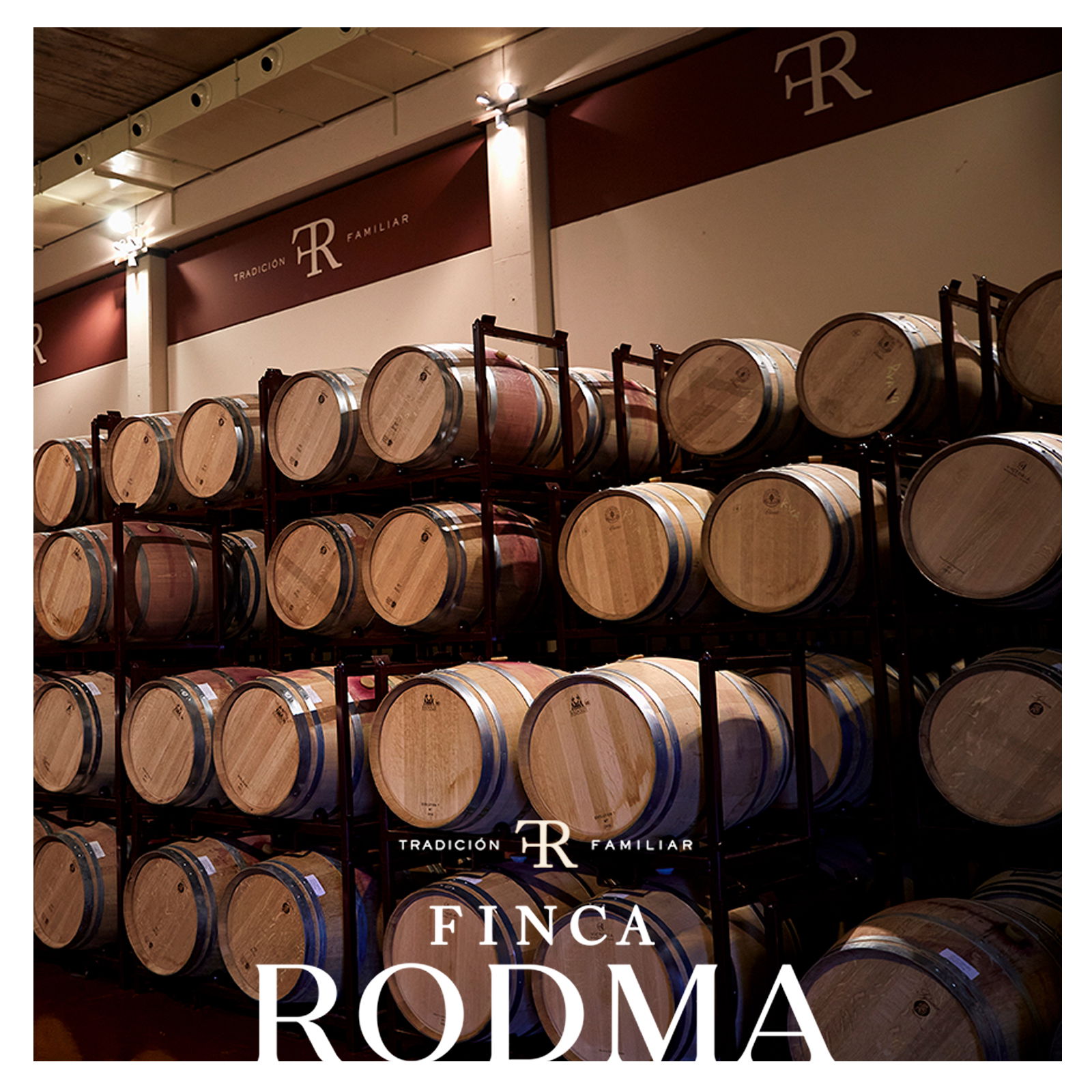 Tempranillo 2022 Selección