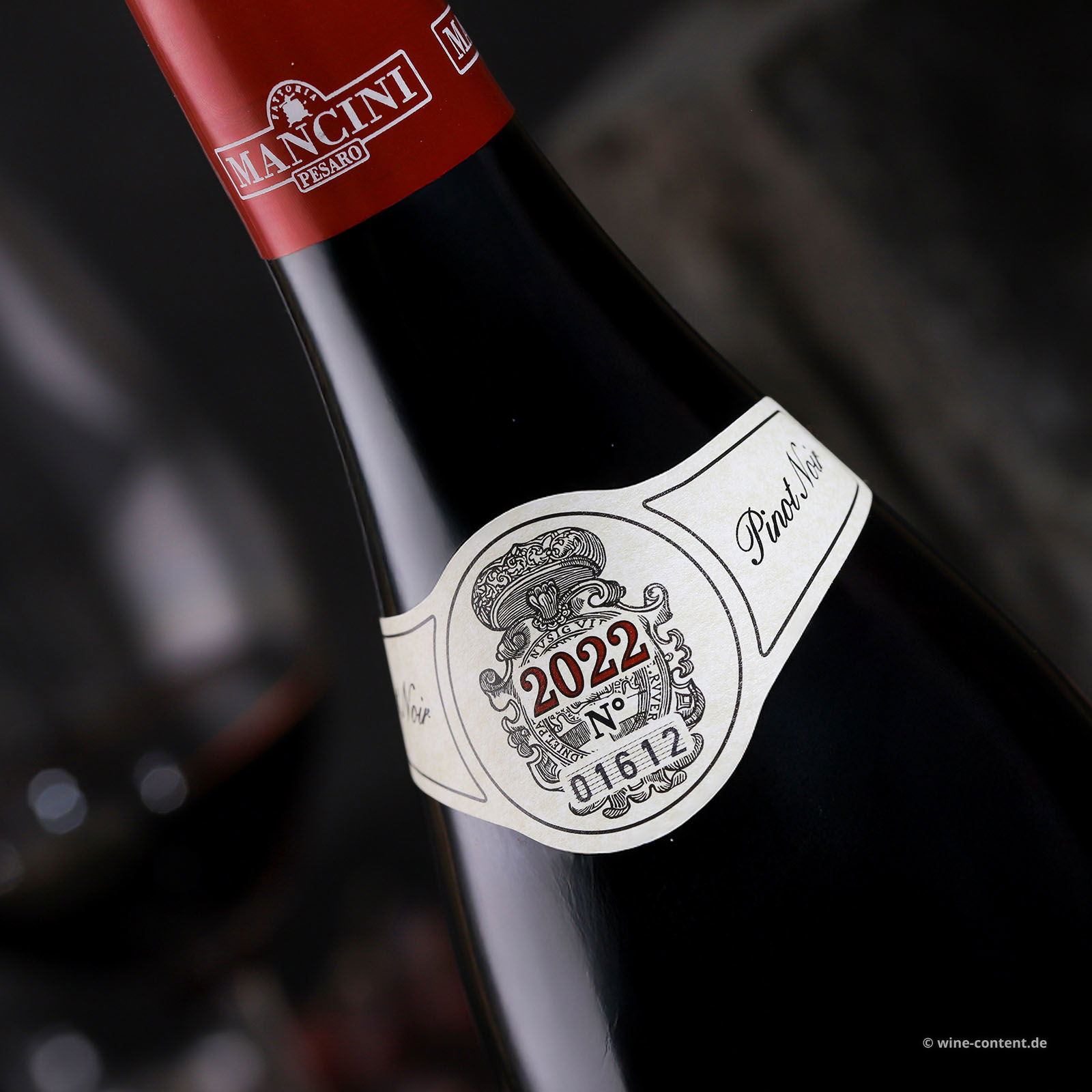 Pinot Noir 2022 Focara