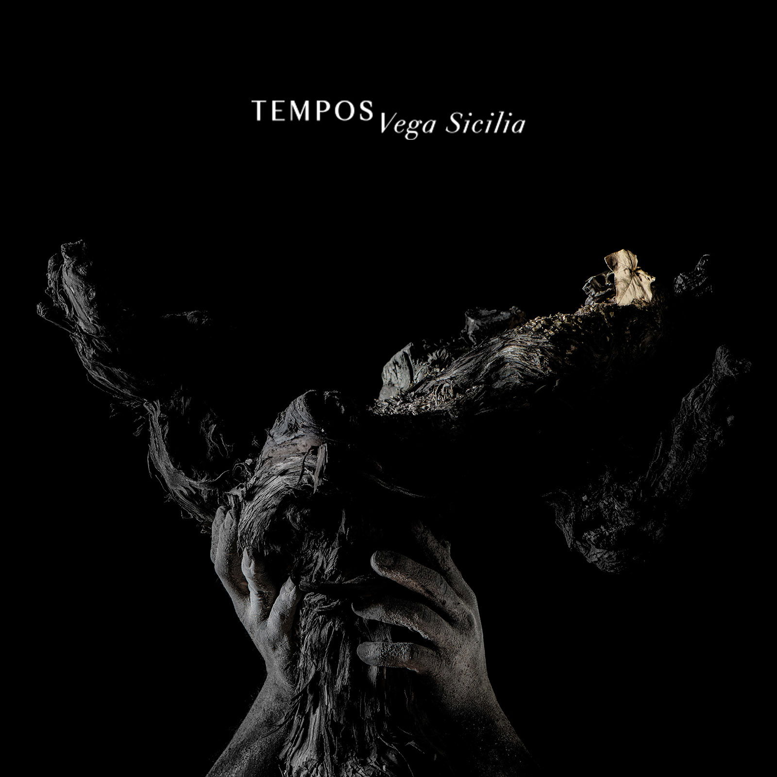 6er-Holzkiste Ribera del Duero 2021 Alión