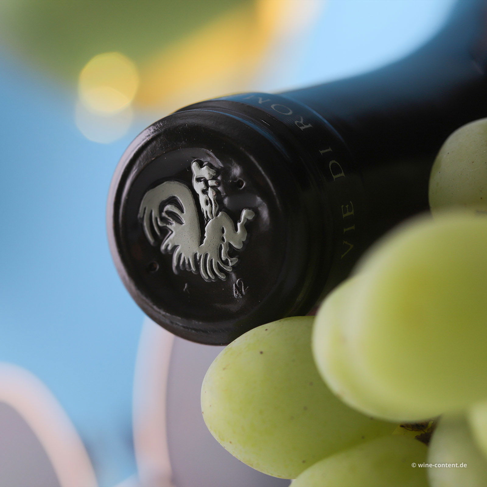 Sauvignon Blanc 2023 Vieris