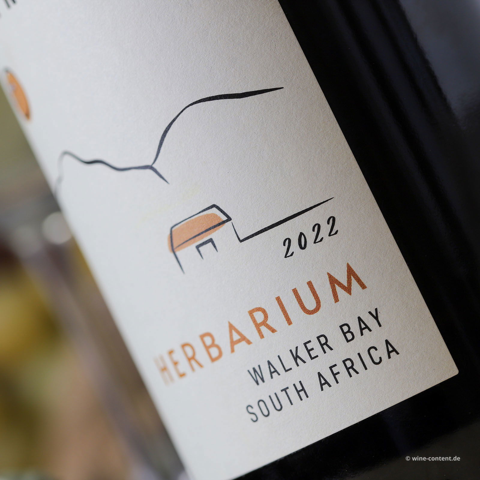 Cape White 2022 Herbarium