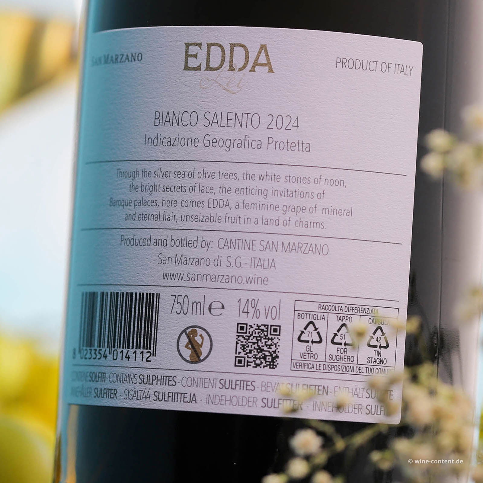 Salento Bianco 2024 Edda